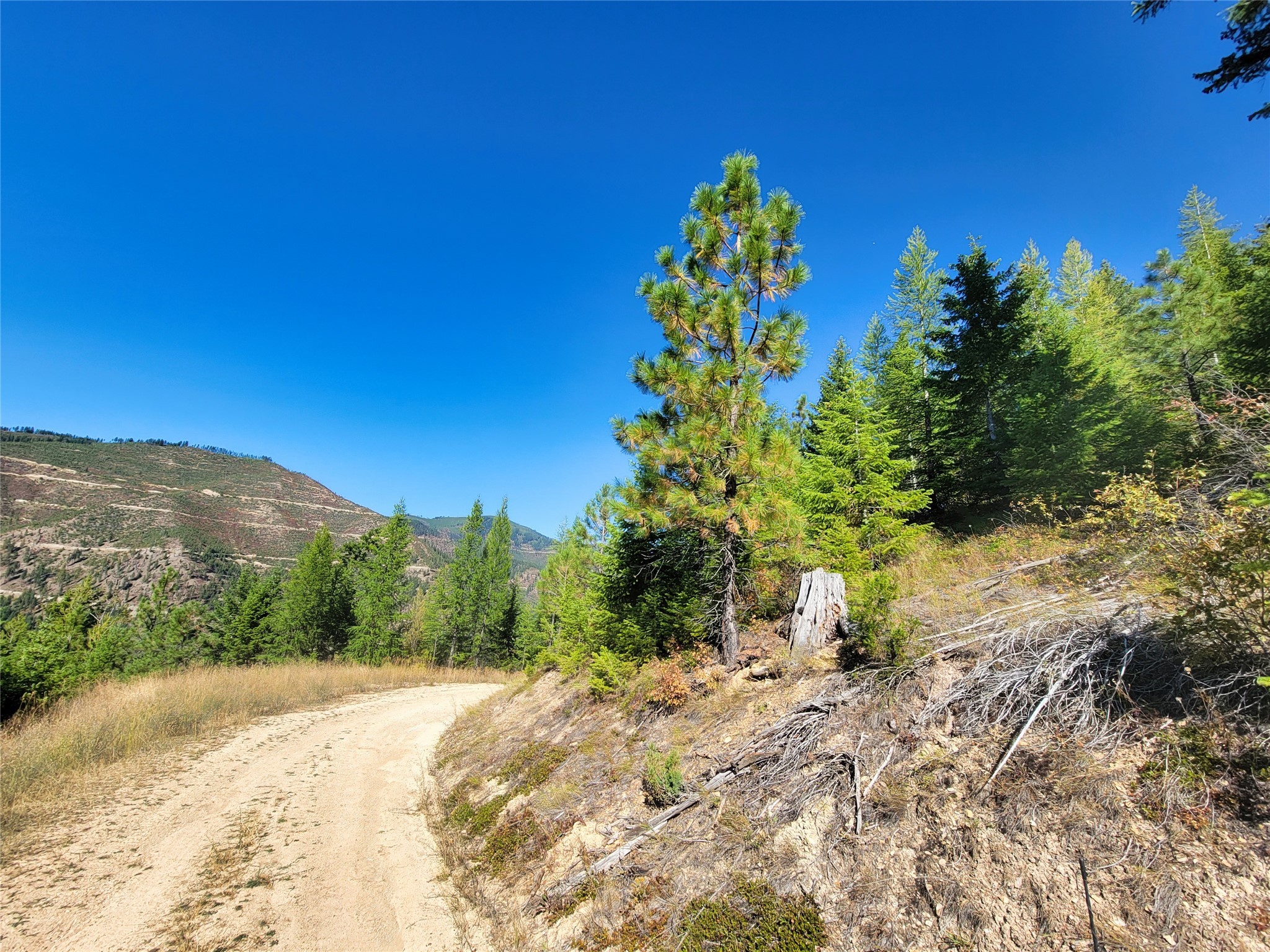 Nhn Johnson Creek Road Property Photo 19