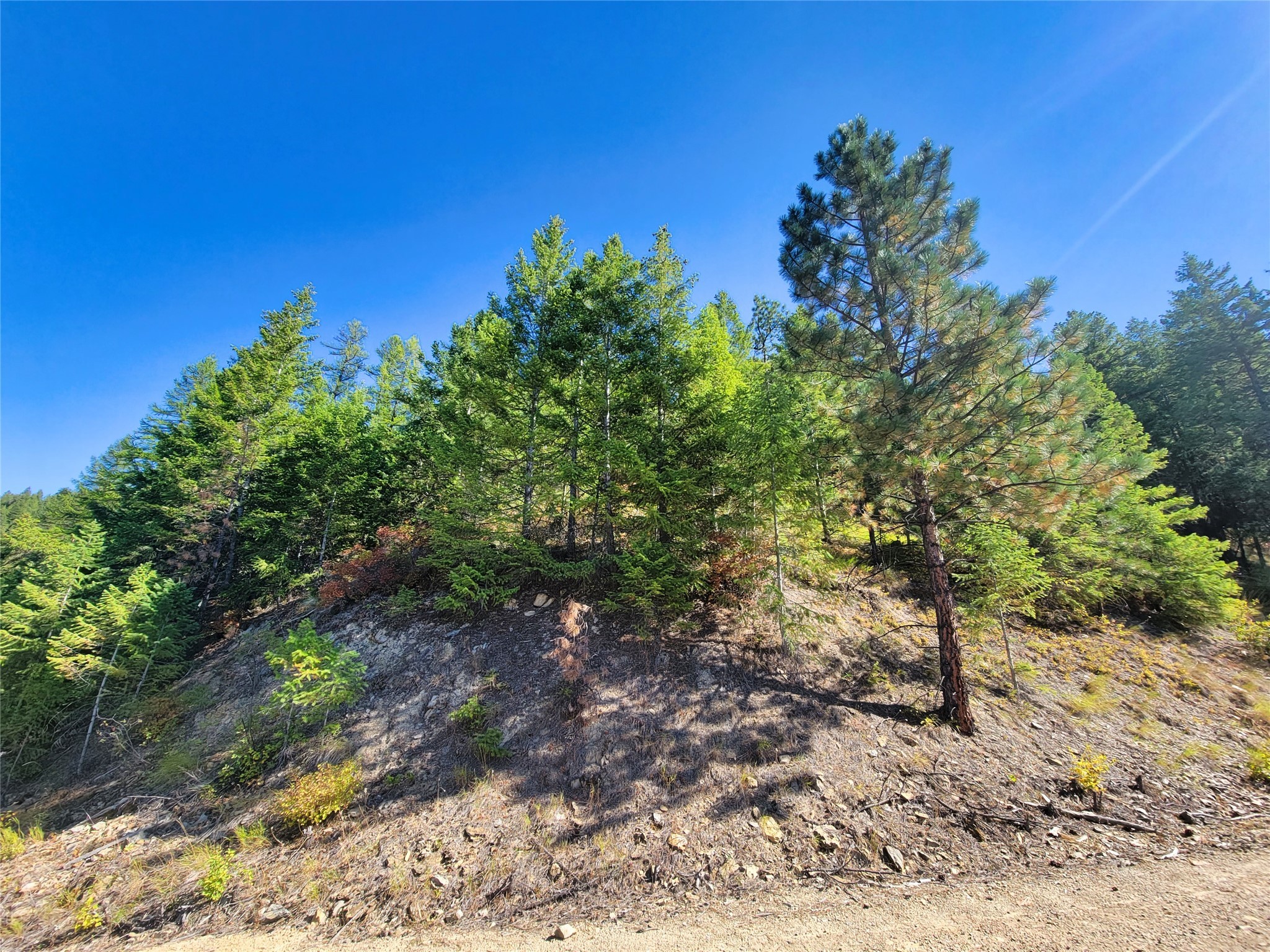 Nhn Johnson Creek Road Property Photo 21