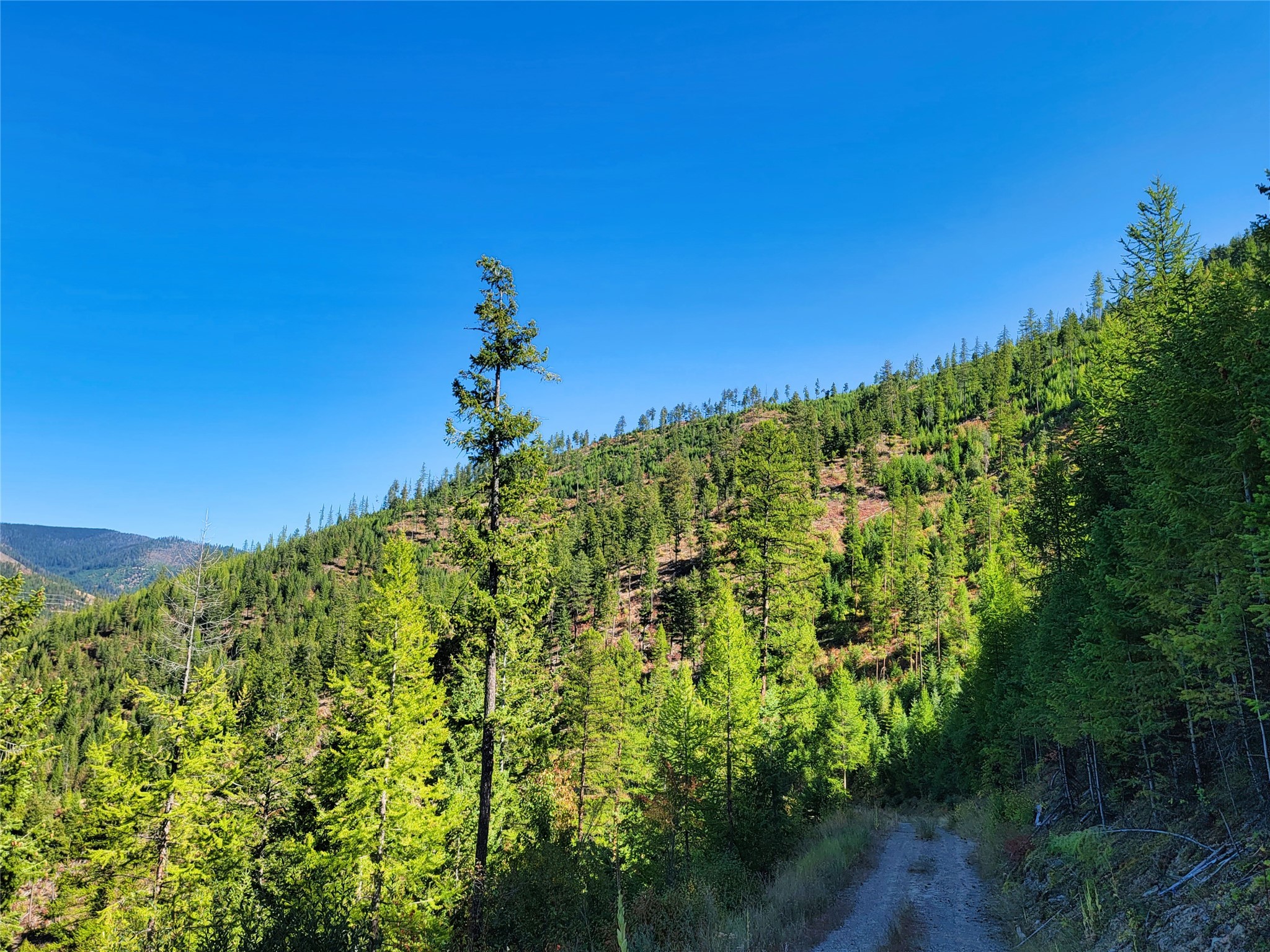 Nhn Johnson Creek Road Property Photo 22