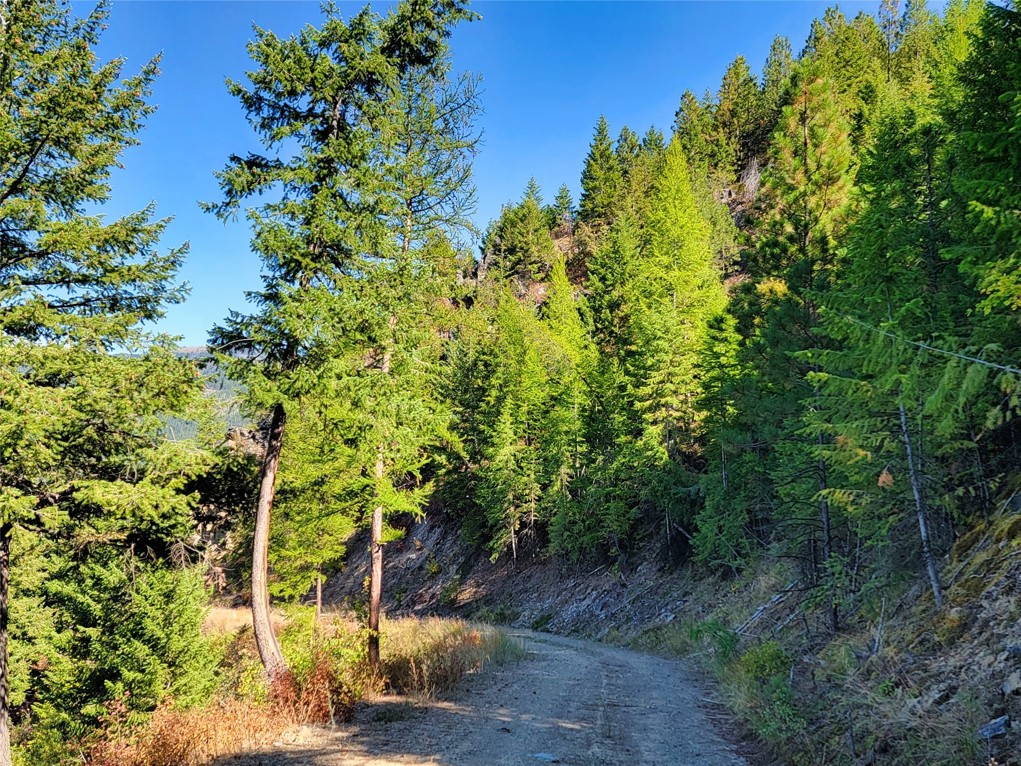 Nhn Johnson Creek Road Property Photo 23