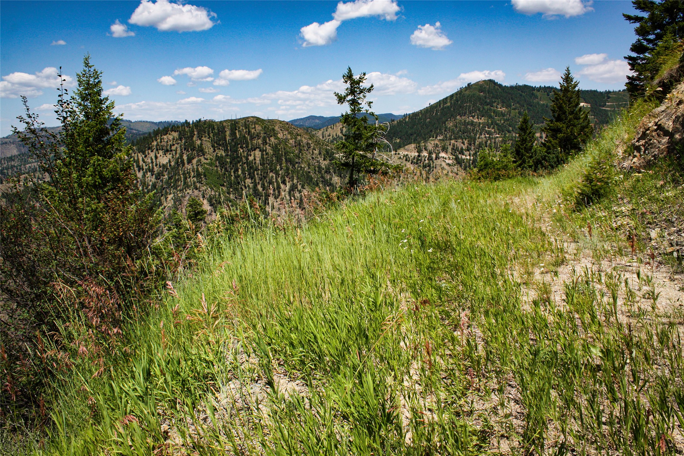 Nhn Johnson Creek Road Property Photo 26