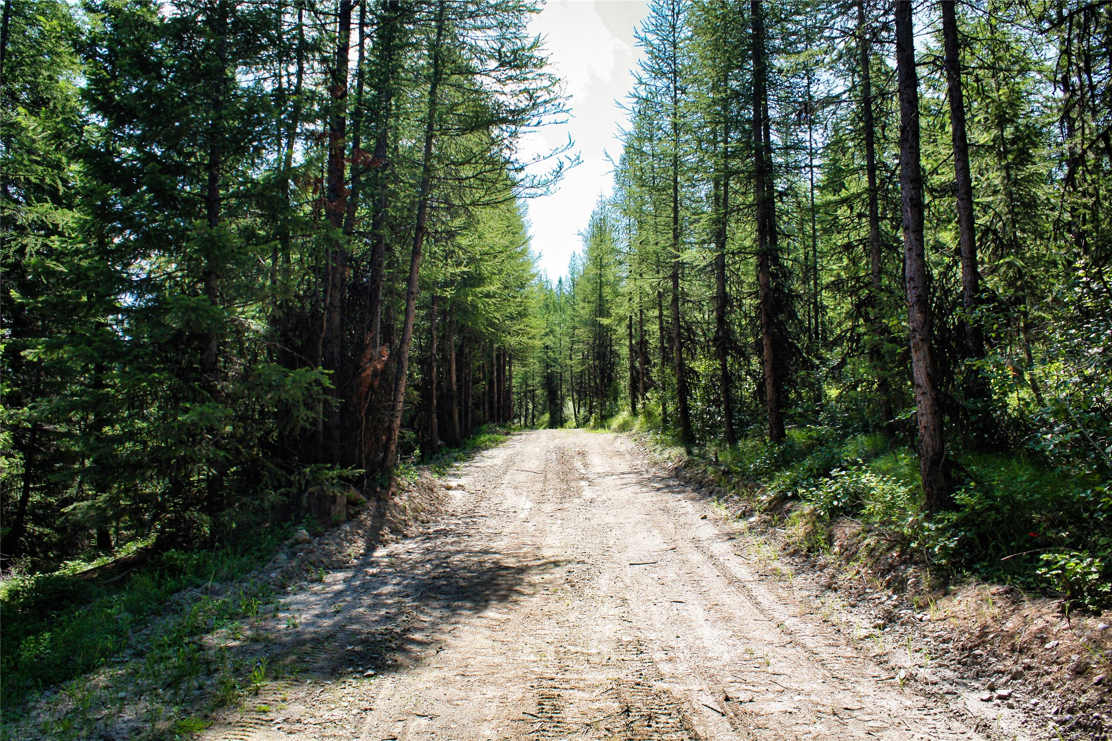 Nhn Johnson Creek Road Property Photo 28