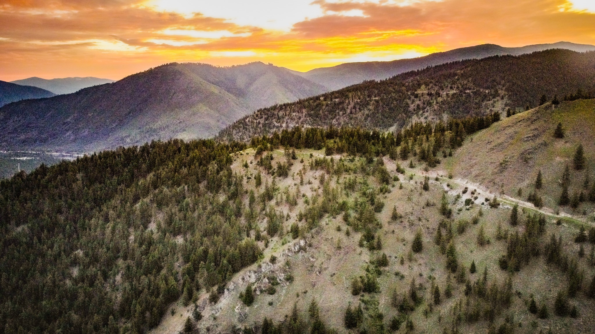 Nhn County Line Property Photo 4