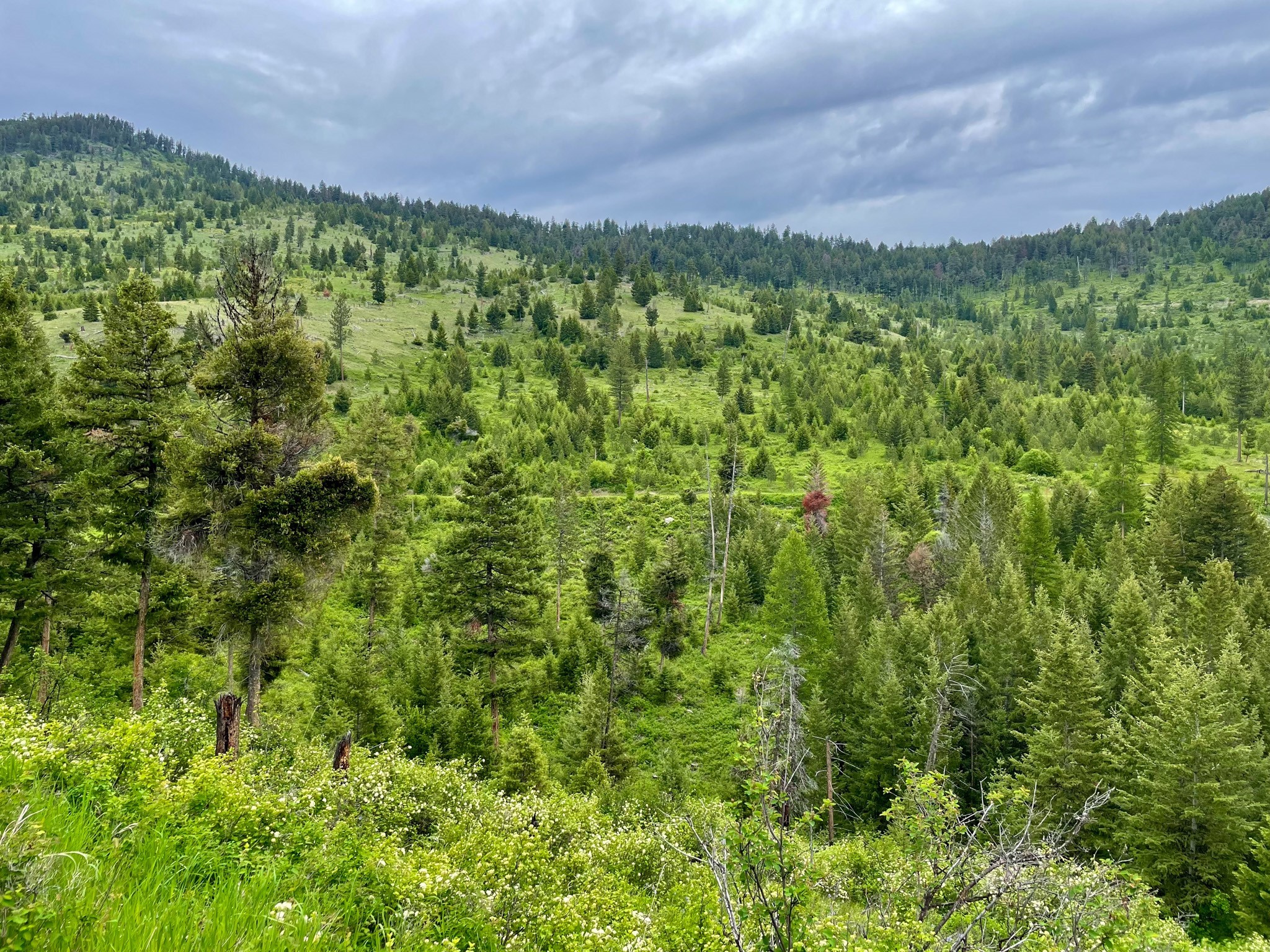 Nhn County Line Property Photo 5