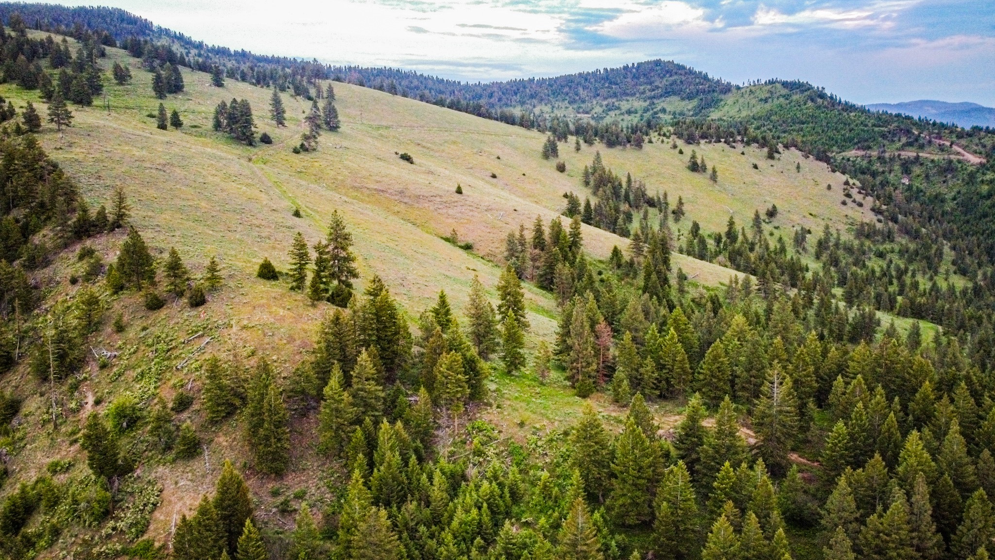 Nhn County Line Property Photo 6