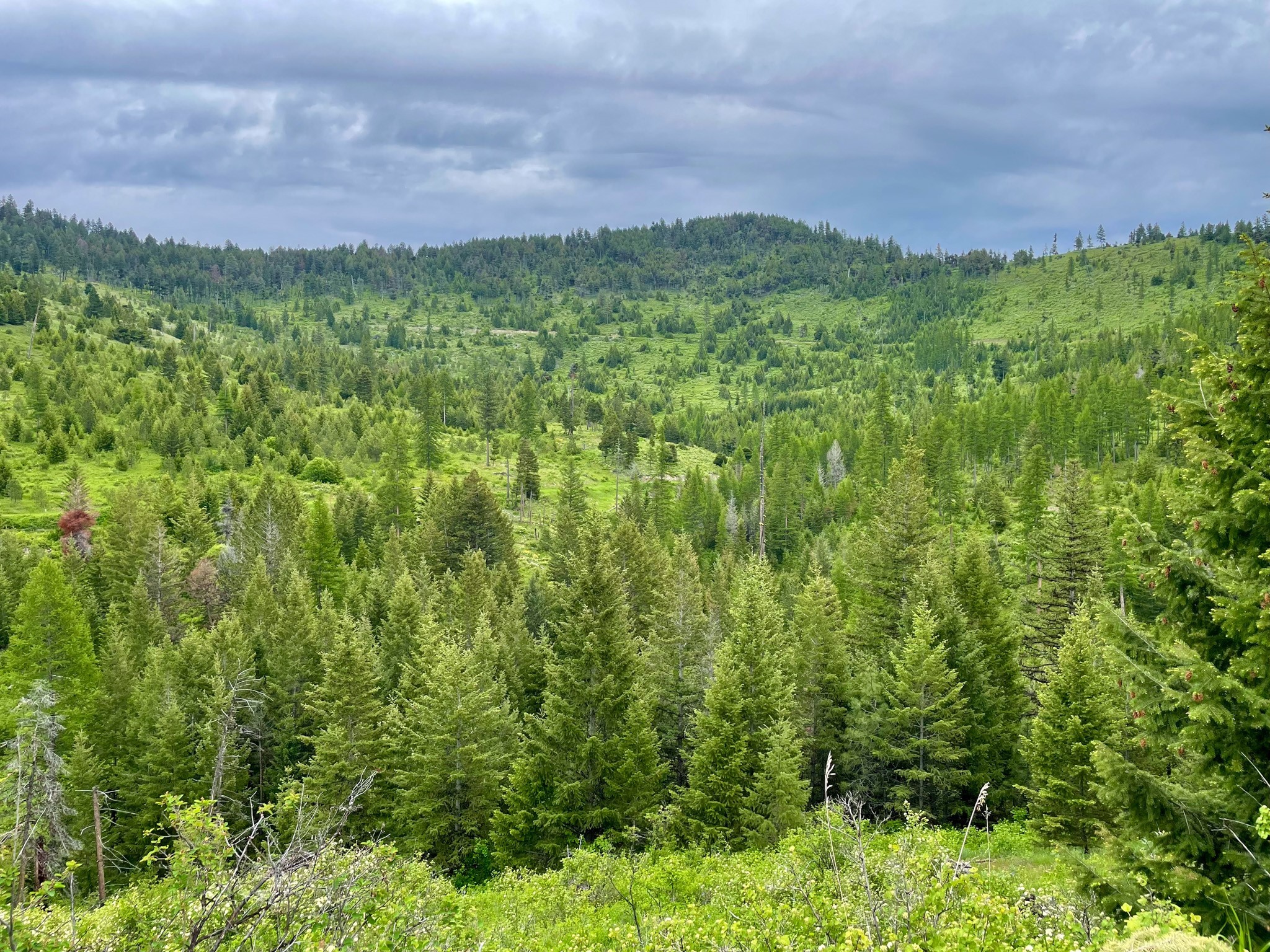 Nhn County Line Property Photo 9
