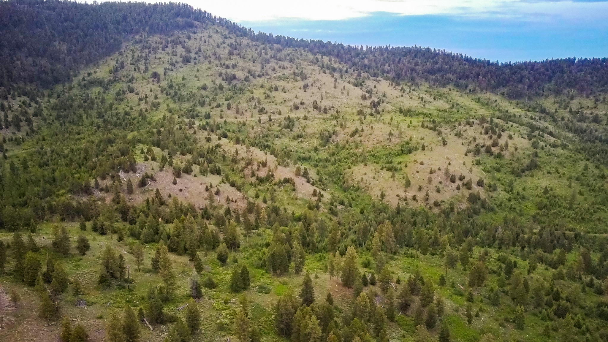 Nhn County Line Property Photo 10