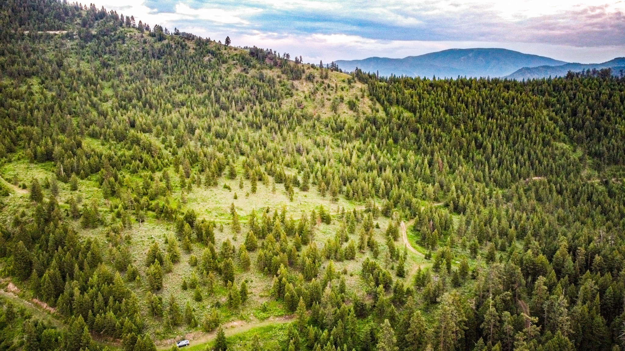 Nhn County Line Property Photo 11