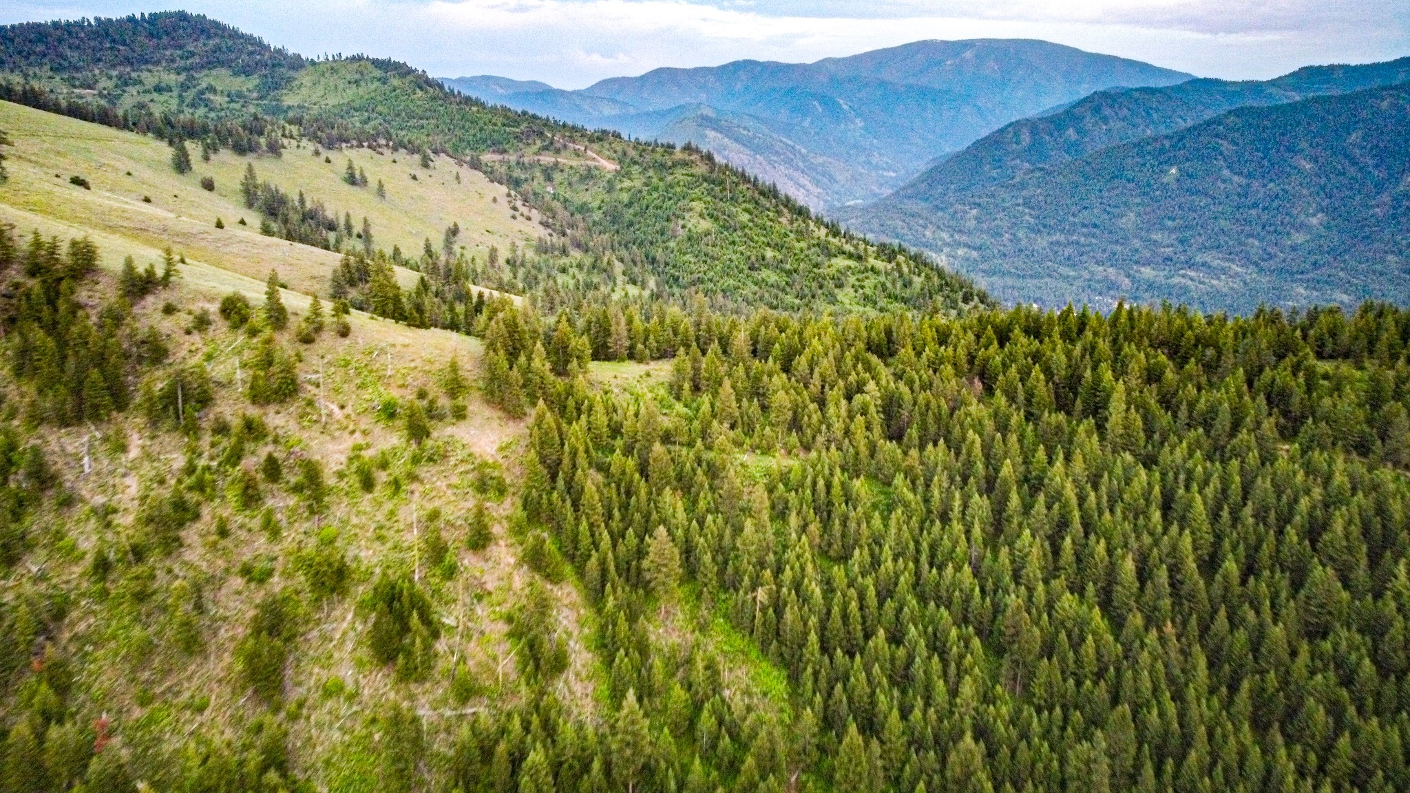 Nhn County Line Property Photo 12