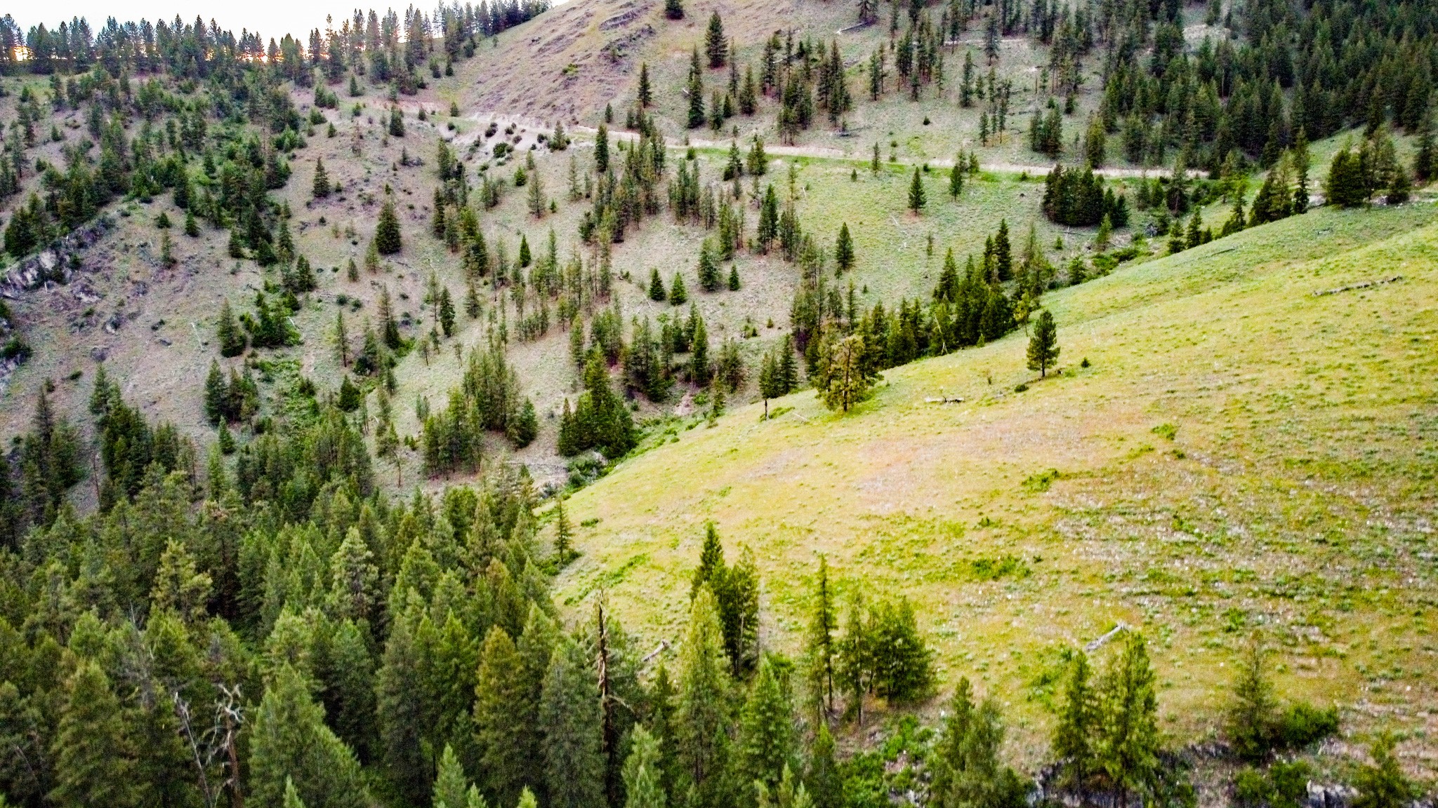 Nhn County Line Property Photo 13