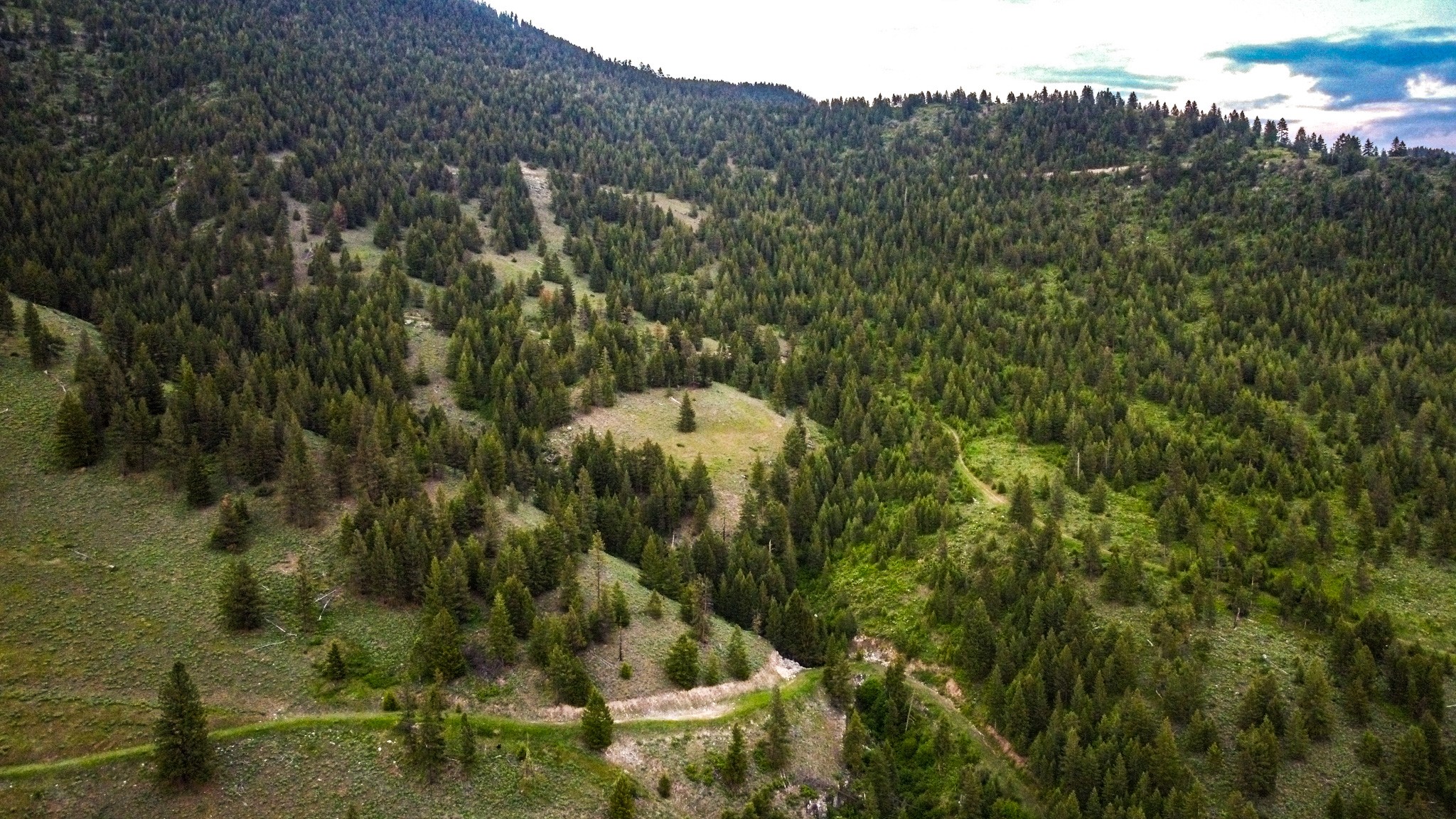 Nhn County Line Property Photo 16