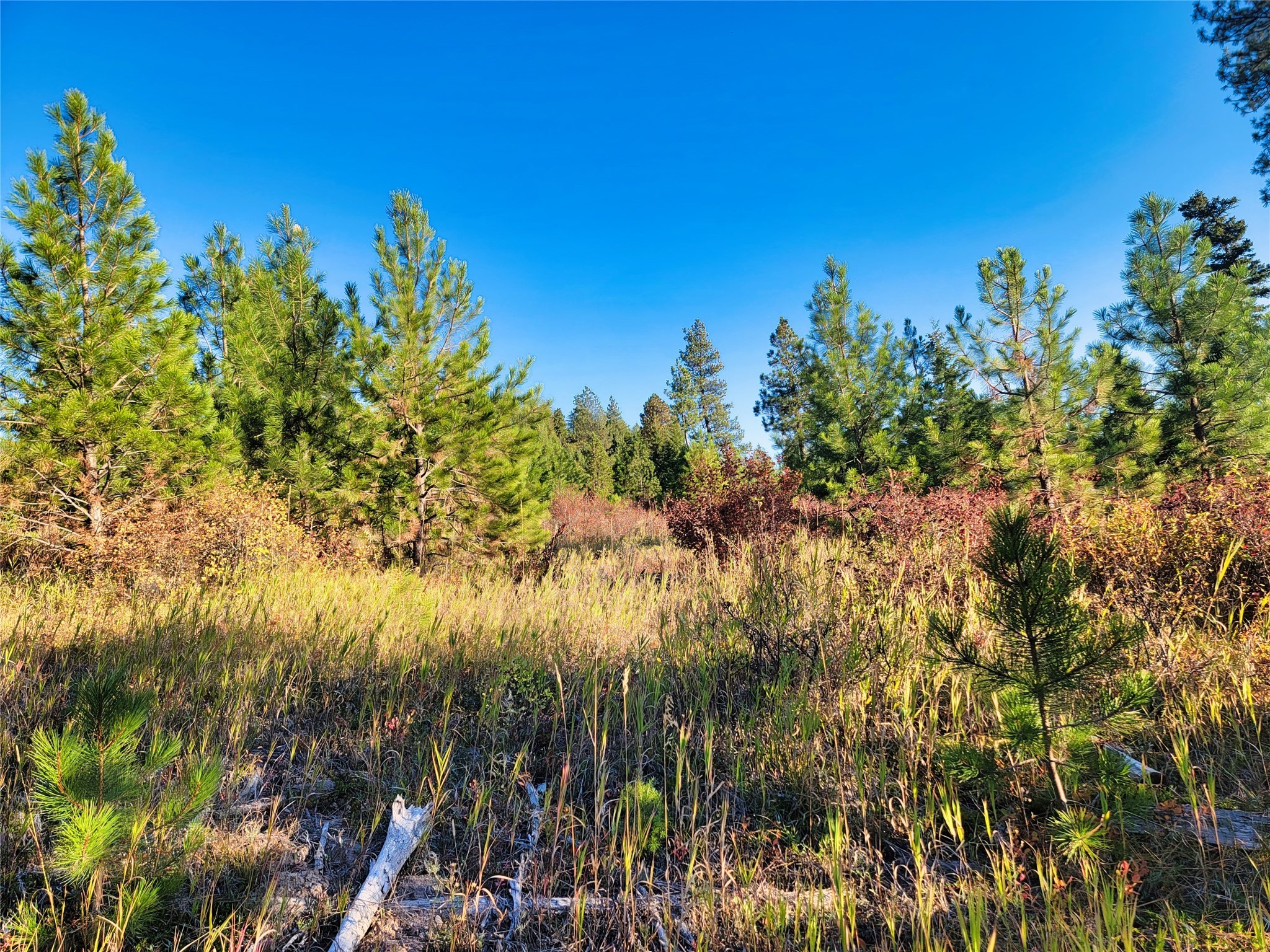 Nhn County Line Property Photo 18