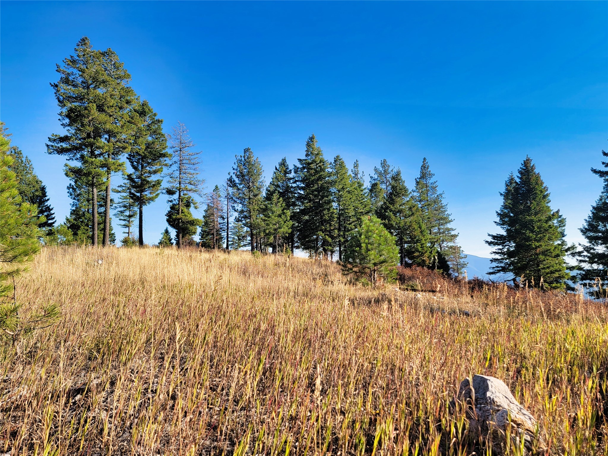 Nhn County Line Property Photo 19
