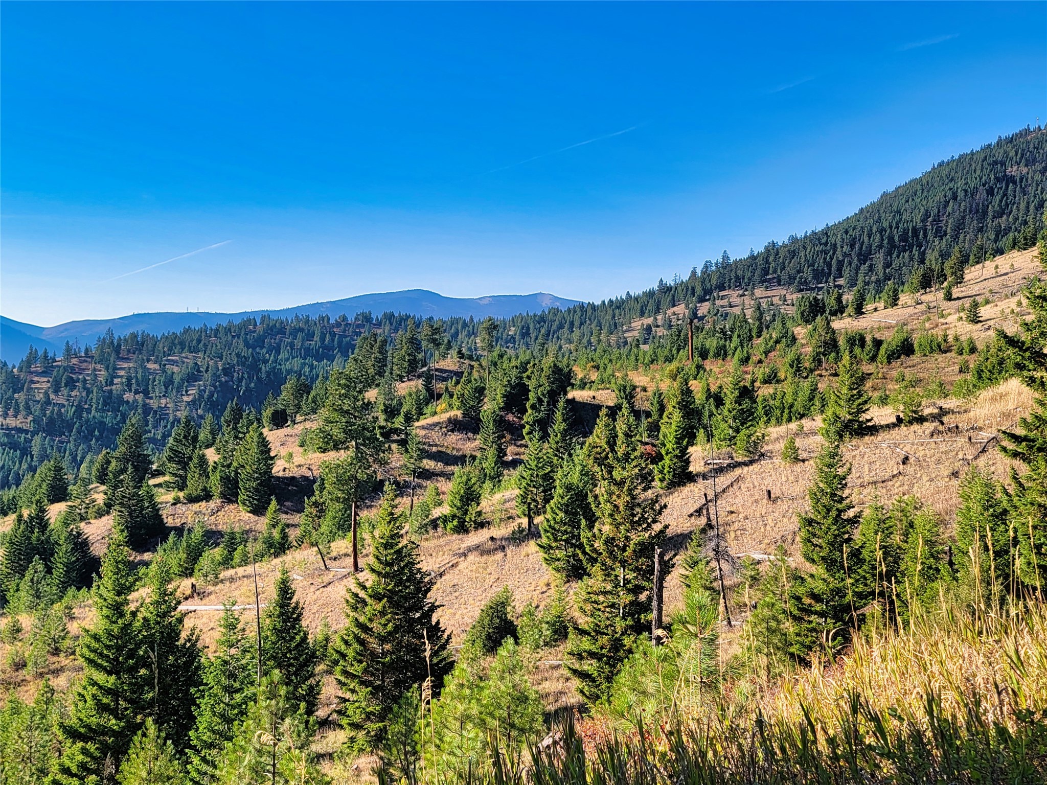 Nhn County Line Property Photo 20