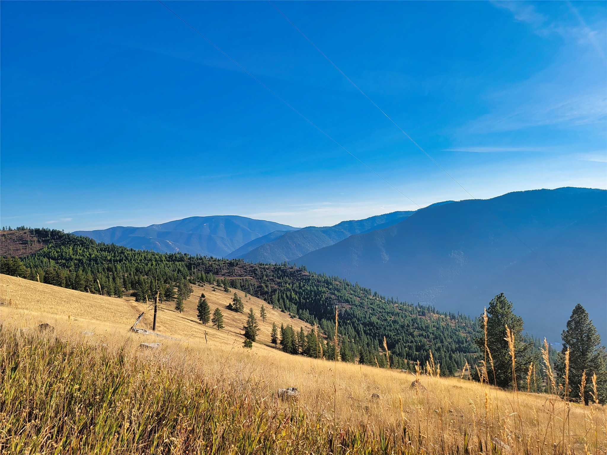 Nhn County Line Property Photo 21