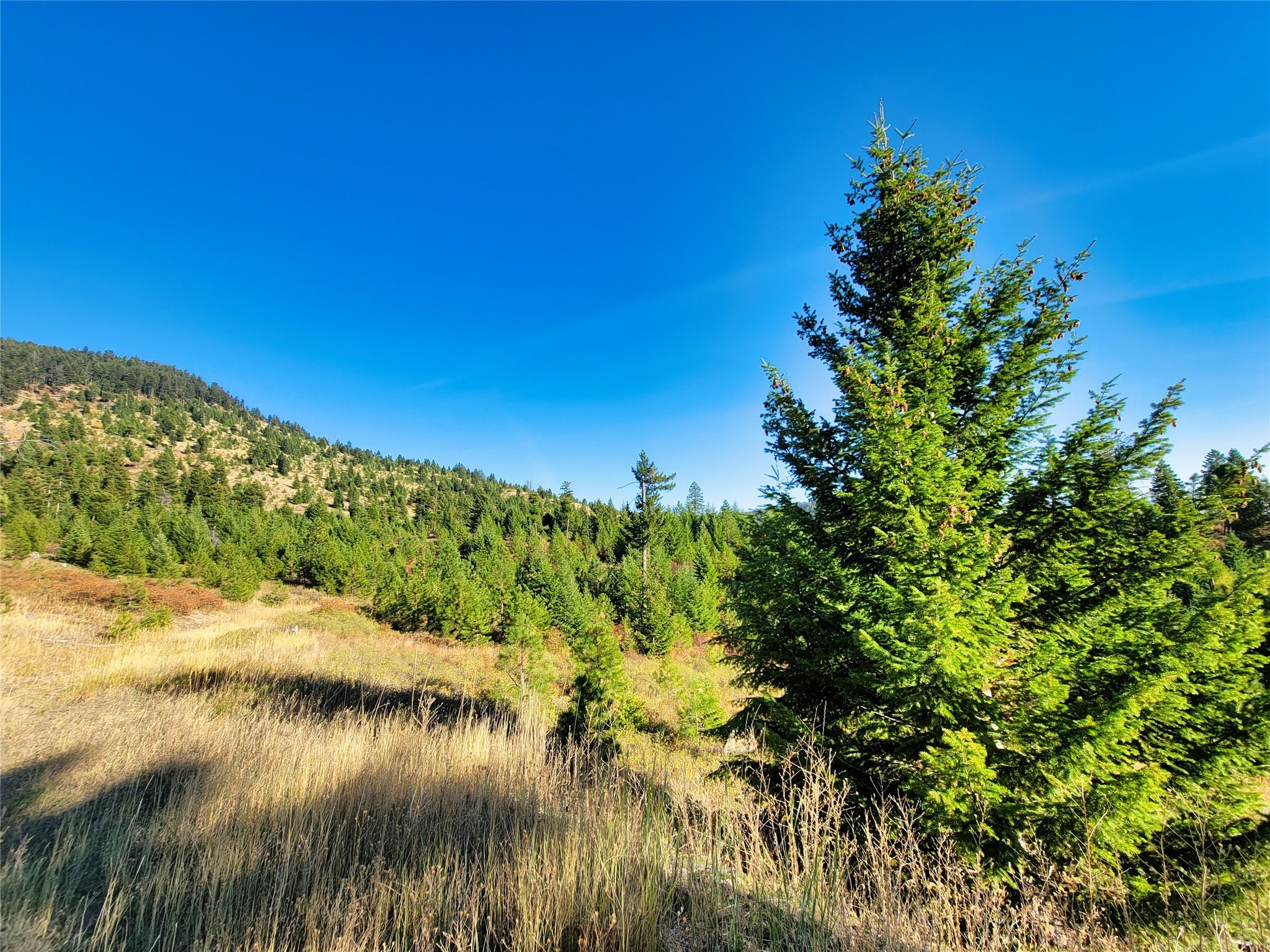 Nhn County Line Property Photo 22