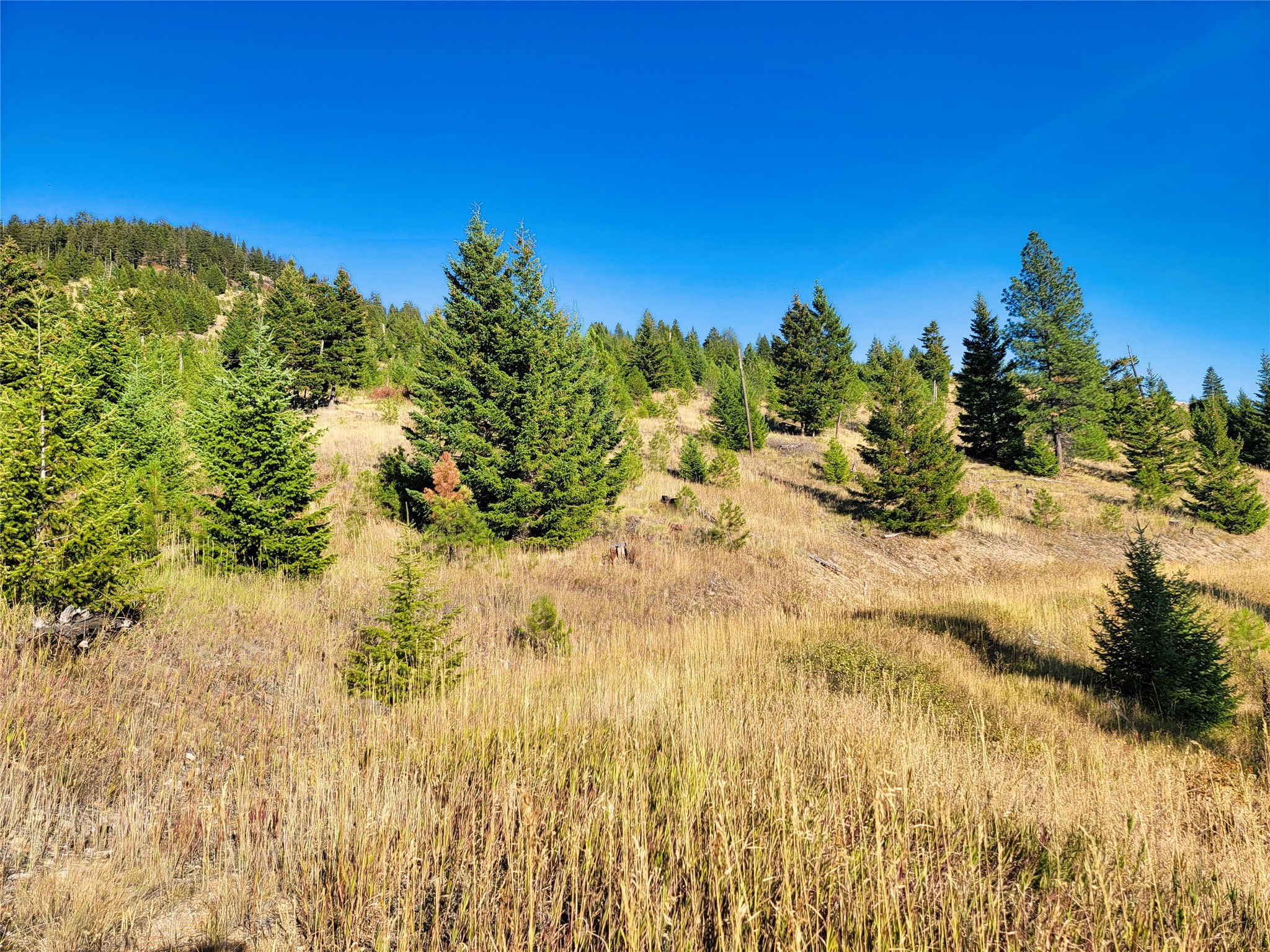 Nhn County Line Property Photo 23