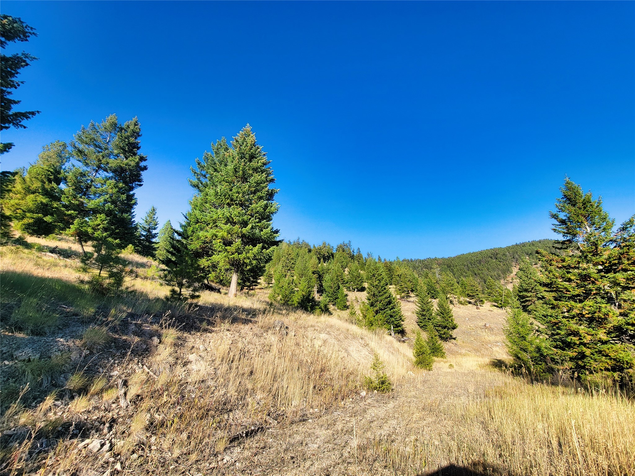 Nhn County Line Property Photo 24