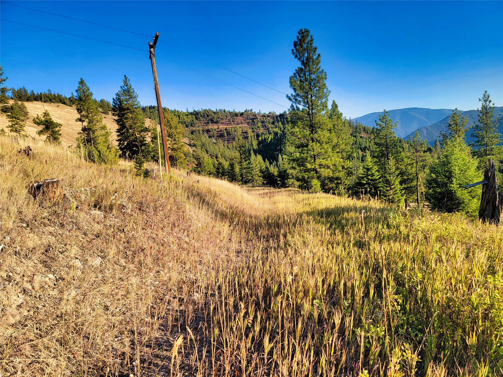 Nhn County Line Property Photo 25