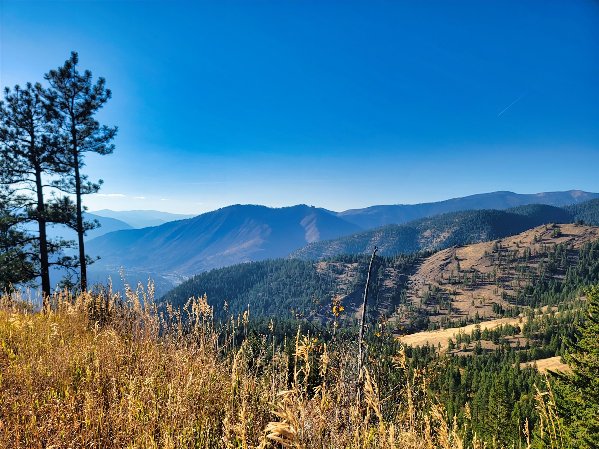 Nhn County Line Property Photo 26