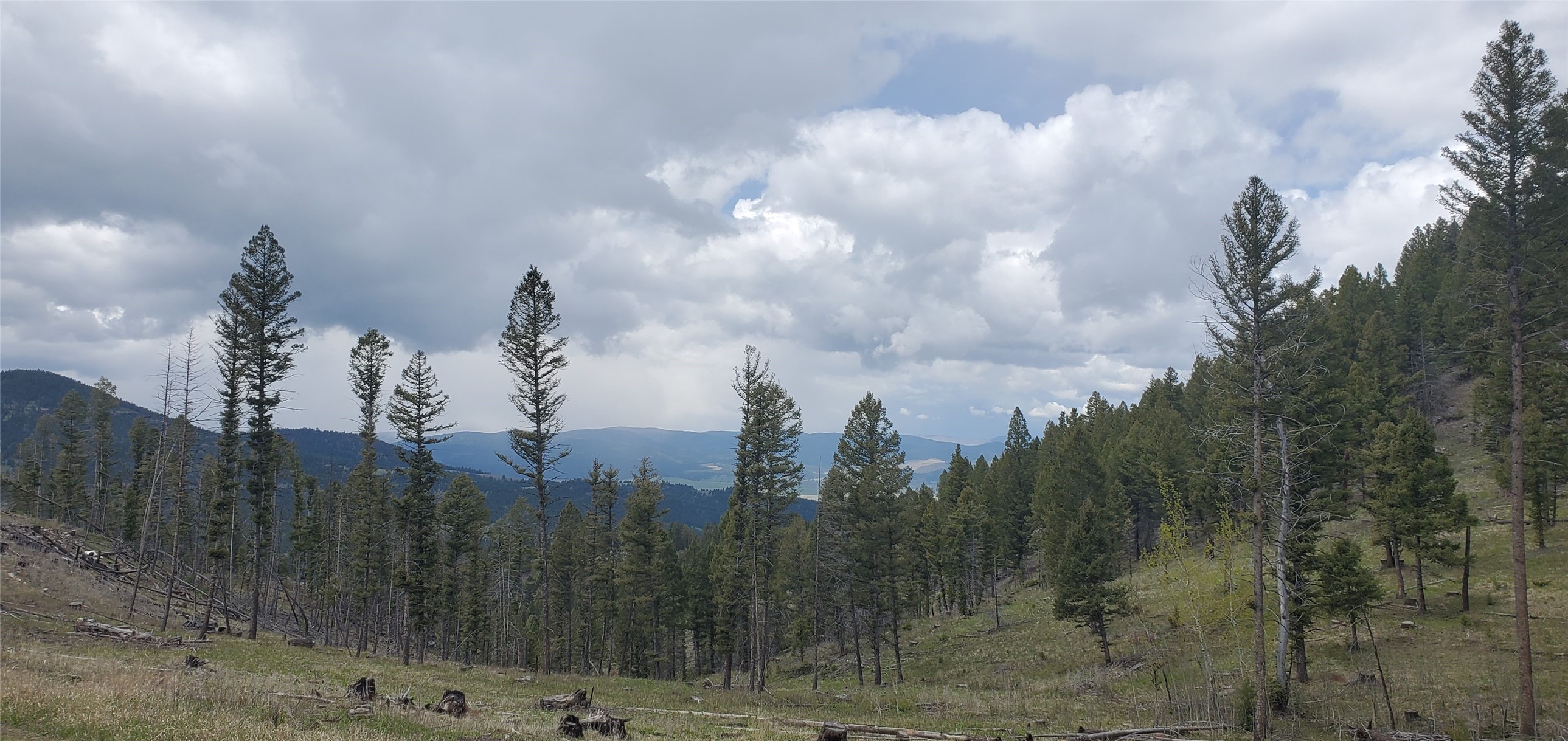 Nhn Buckhorn Road Property Photo 10