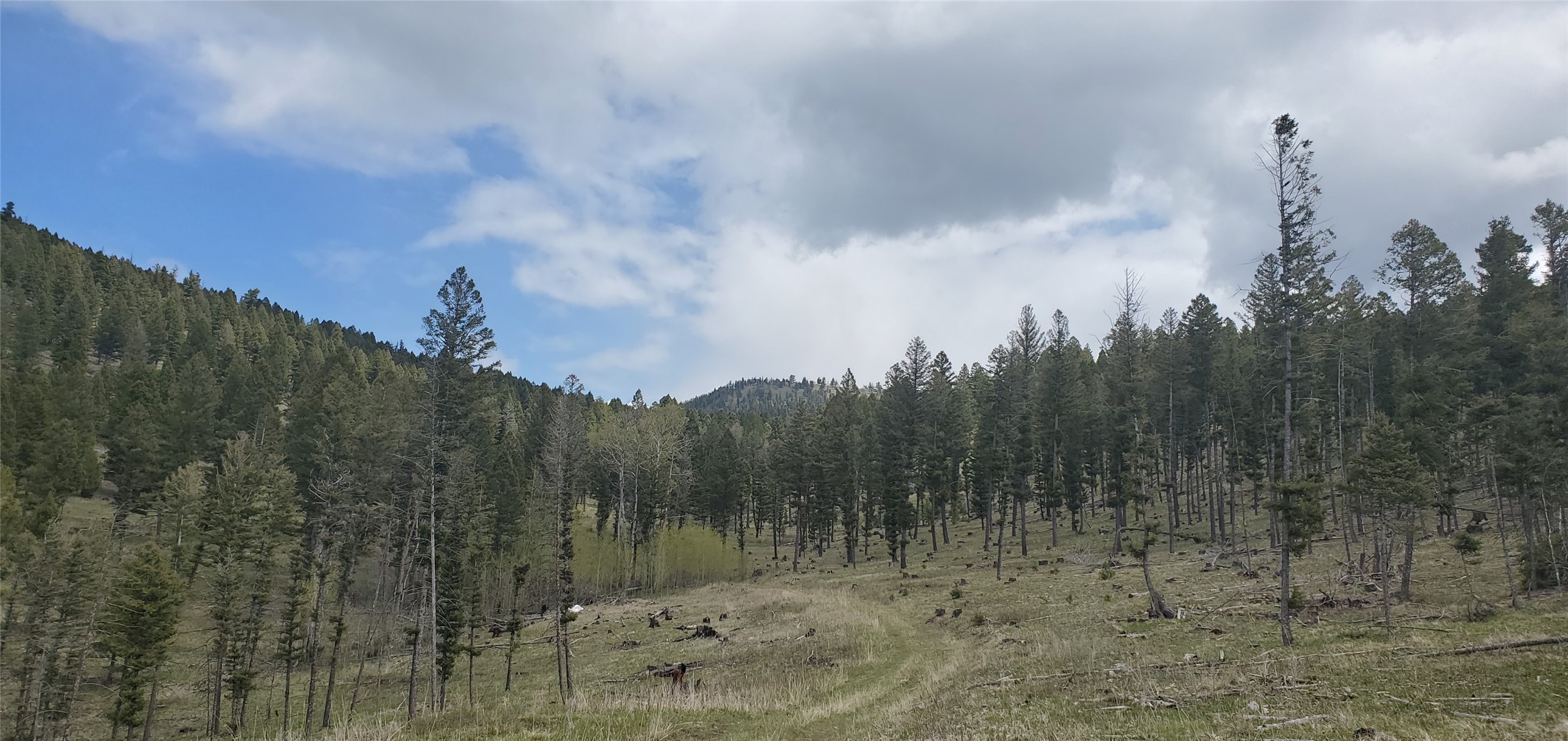 Nhn Buckhorn Road Property Photo 12