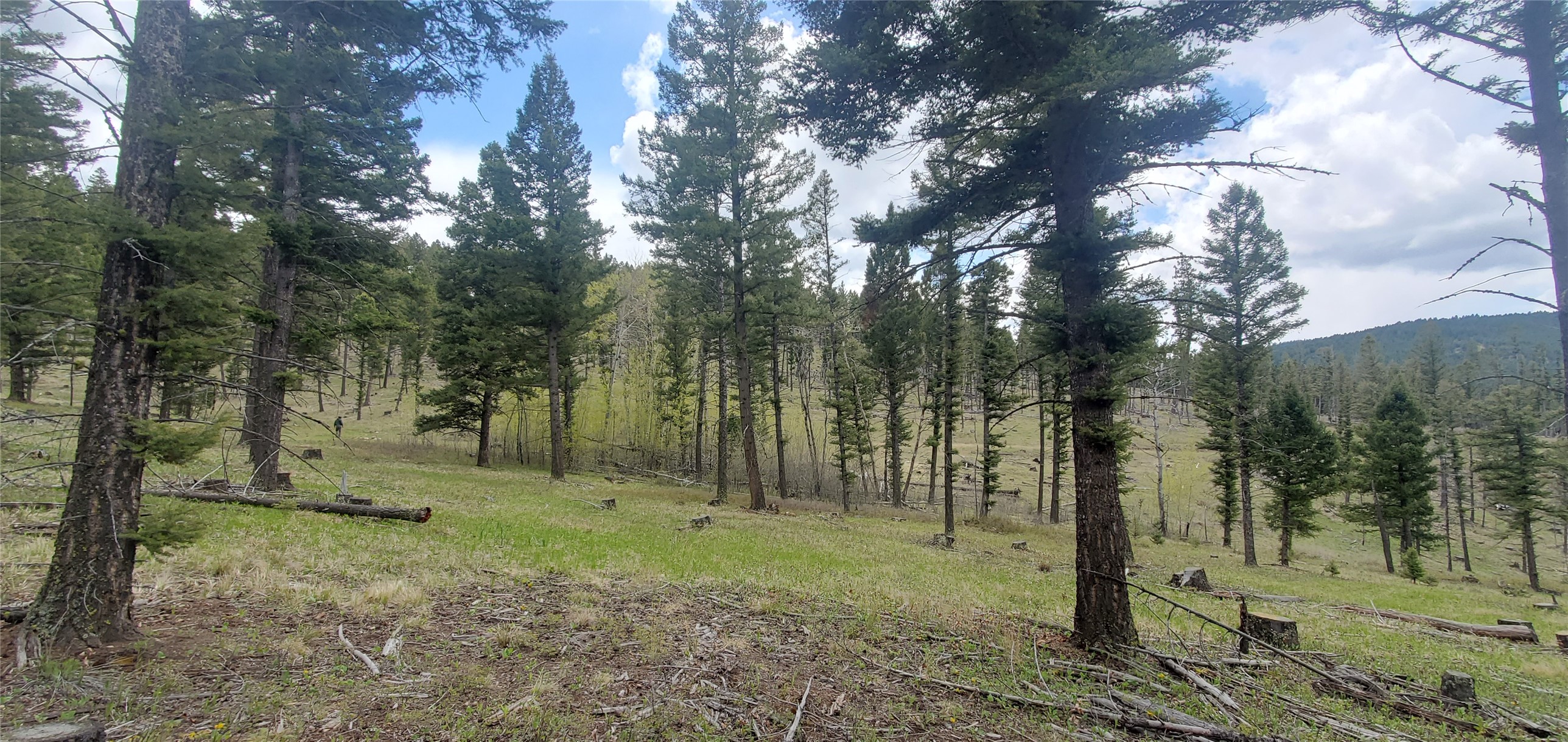 Nhn Buckhorn Road Property Photo 14