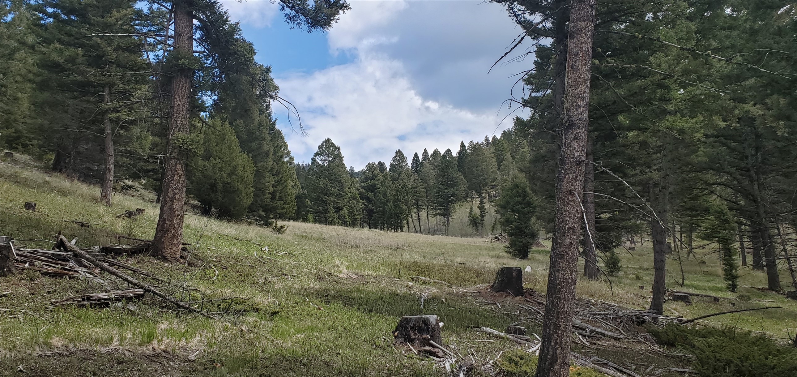 Nhn Buckhorn Road Property Photo 16