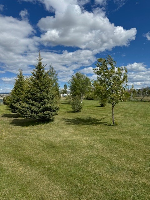 3335 Hutton Road Property Photo 16