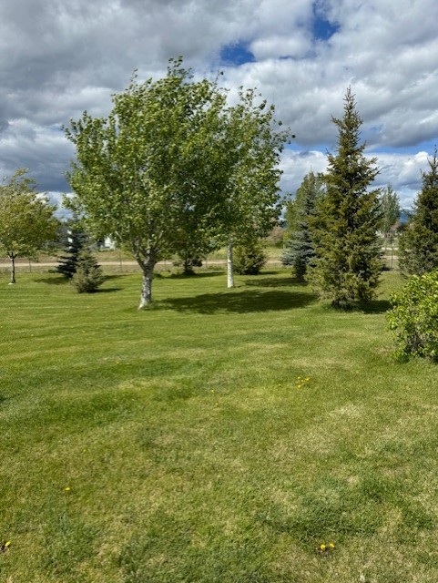 3335 Hutton Road Property Photo 19