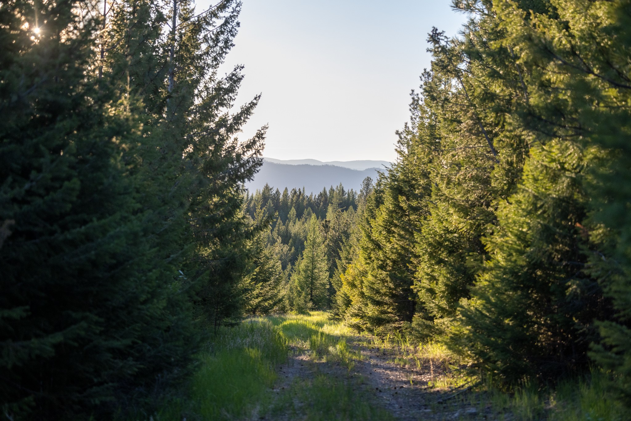 Coon Hollow Retreat Property Photo 3