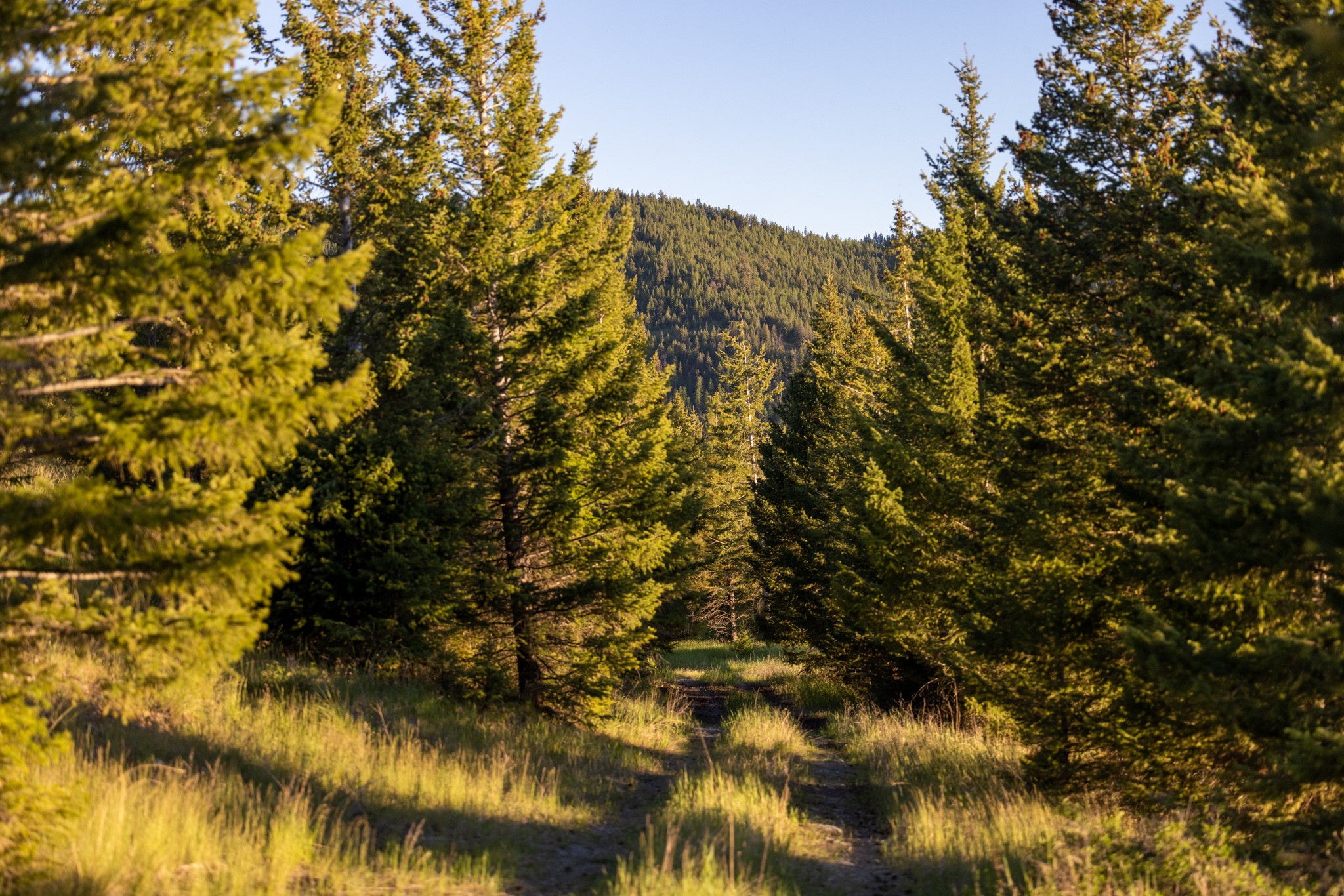 Coon Hollow Retreat Property Photo 8