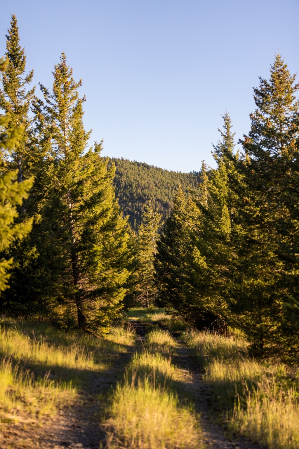 Coon Hollow Retreat Property Photo 15