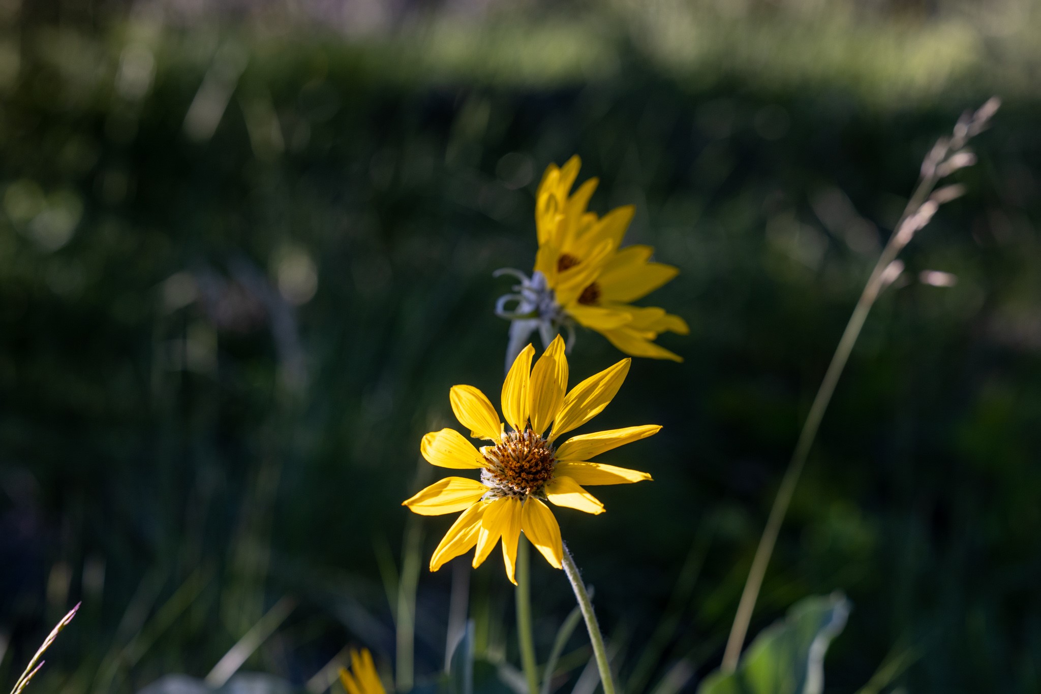 Coon Hollow Retreat Property Photo 17