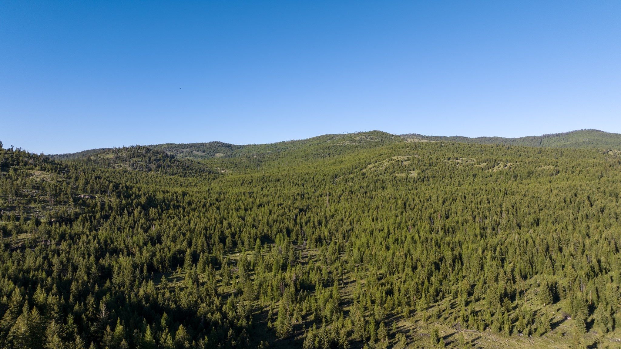 Coon Hollow Retreat Property Photo 19