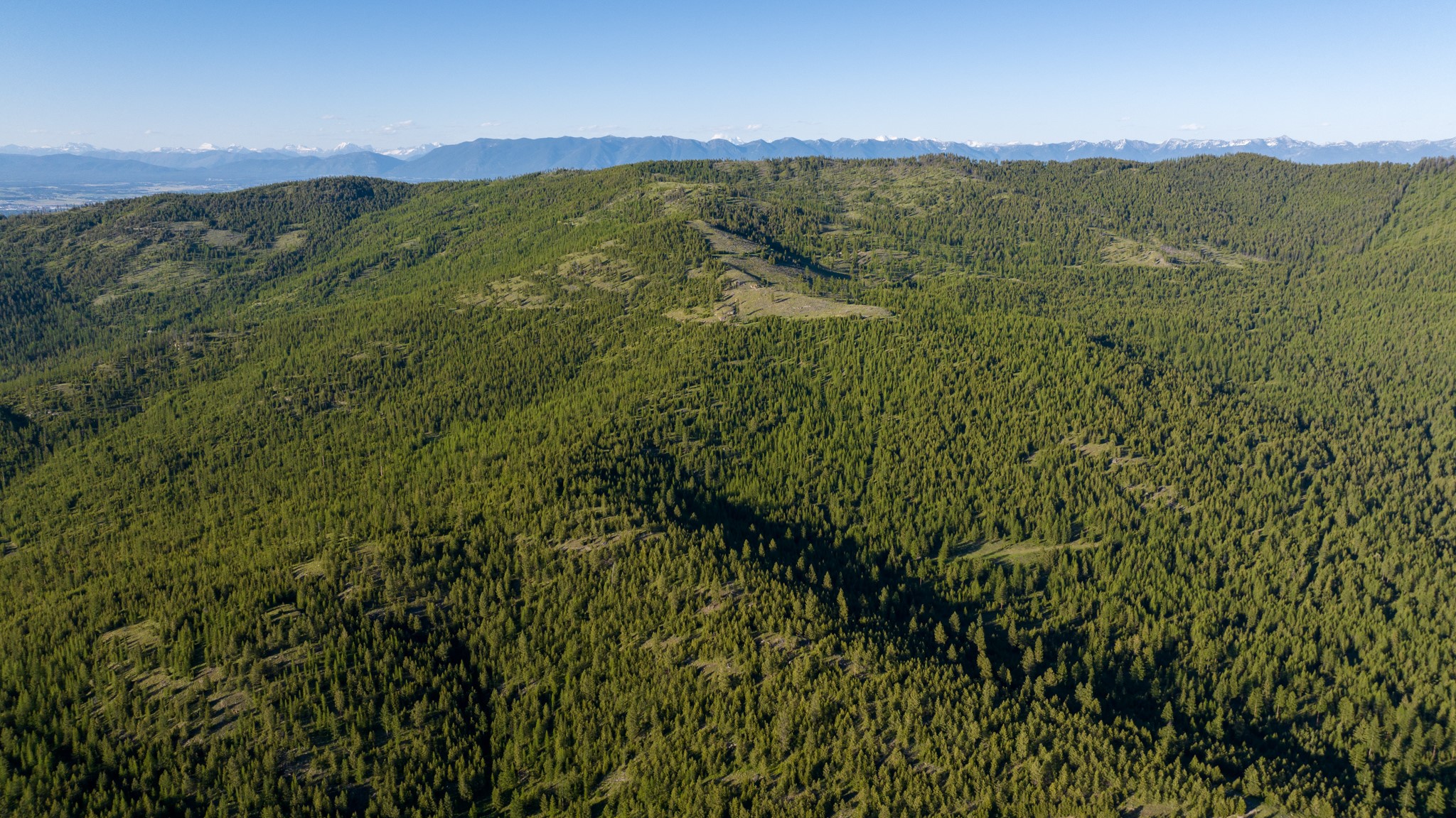 Coon Hollow Retreat Property Photo 25