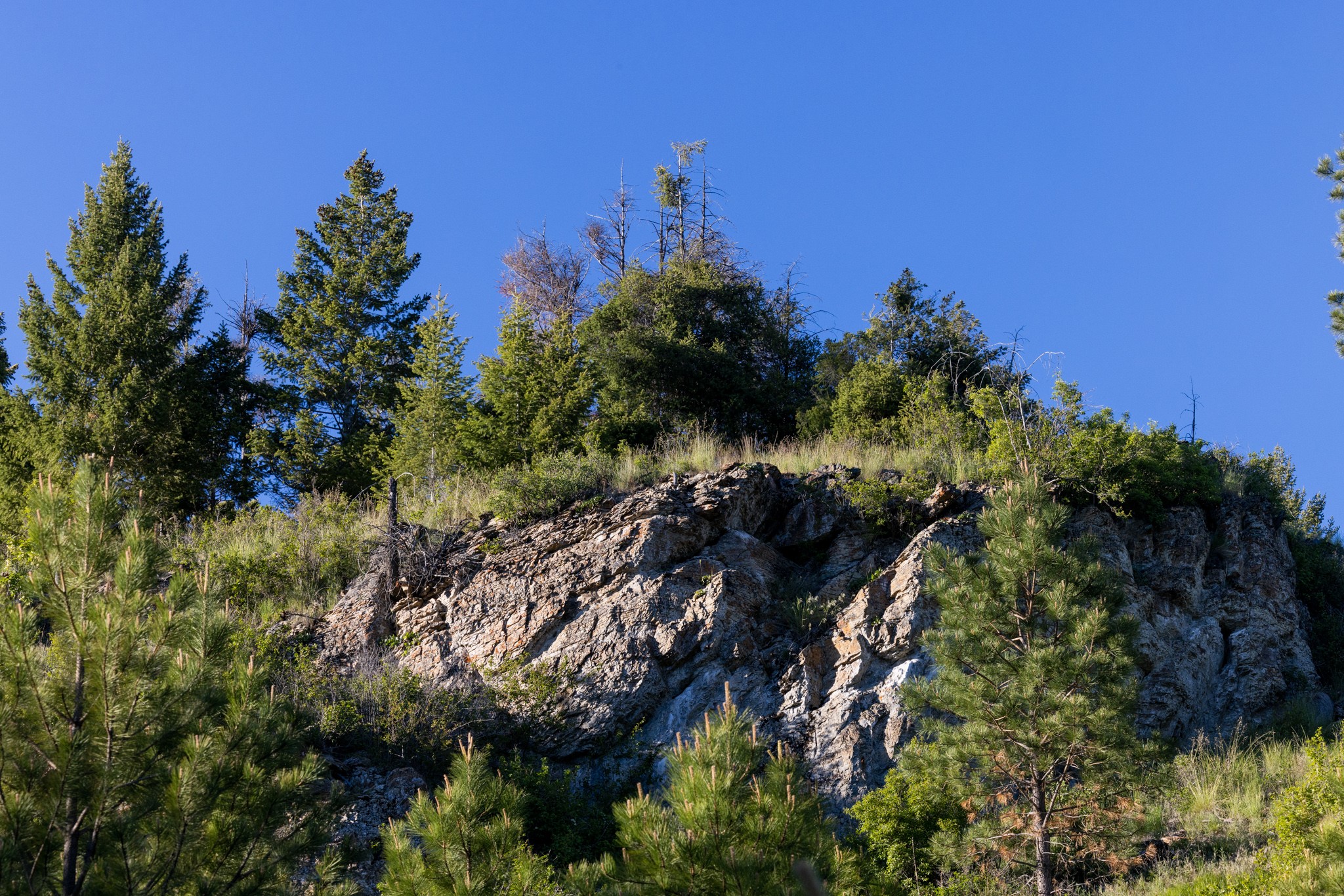 Coon Hollow Retreat Property Photo 29