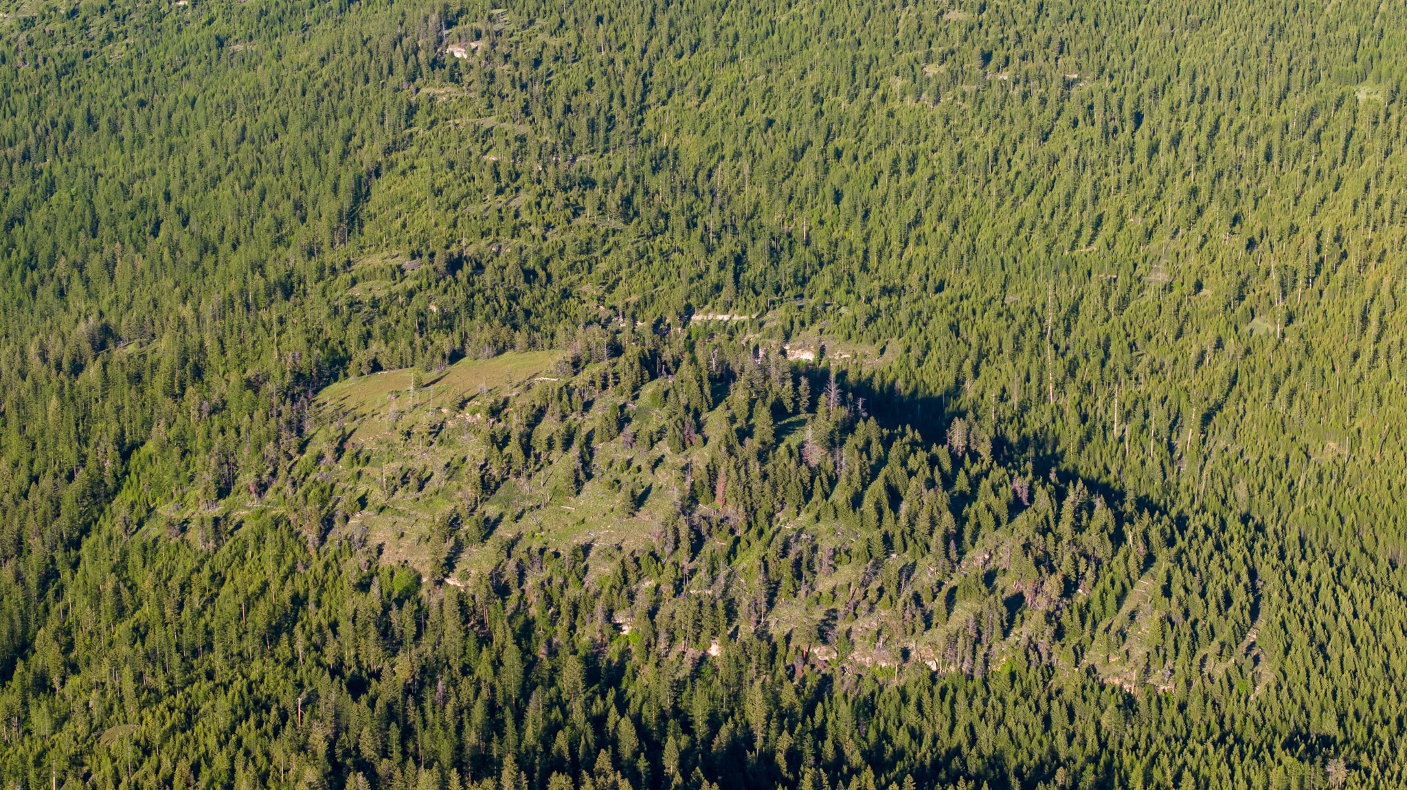 Coon Hollow Retreat Property Photo 32