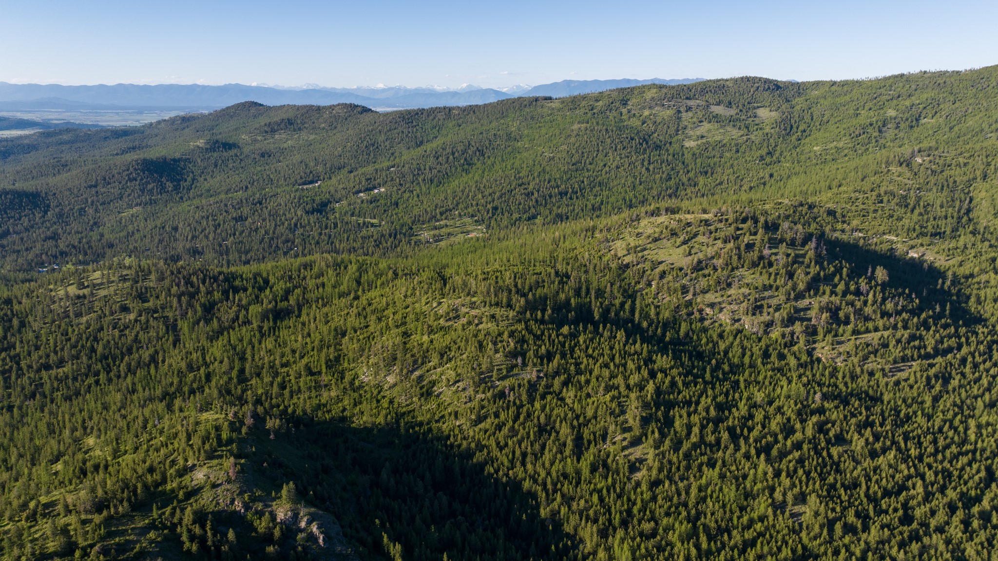 Coon Hollow Retreat Property Photo 37