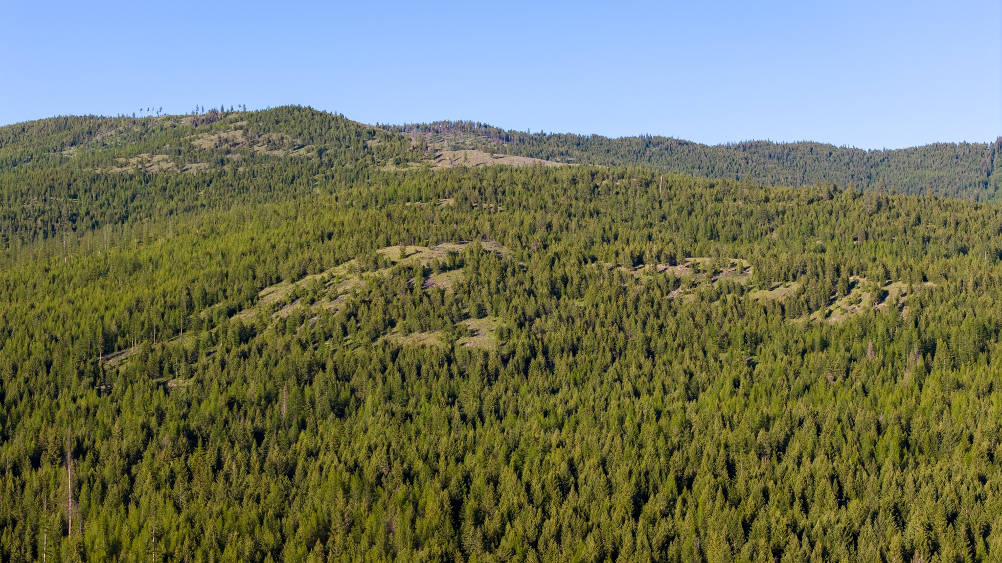 Coon Hollow Retreat Property Photo 38