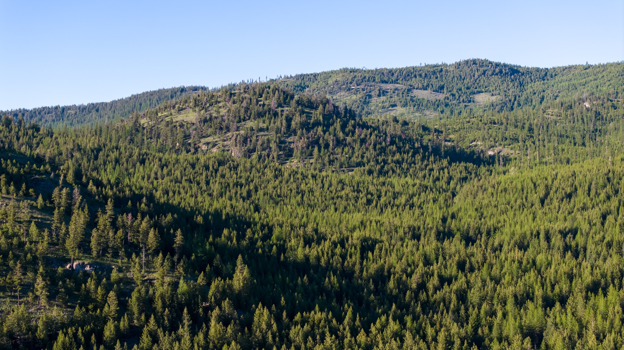 Coon Hollow Retreat Property Photo 41