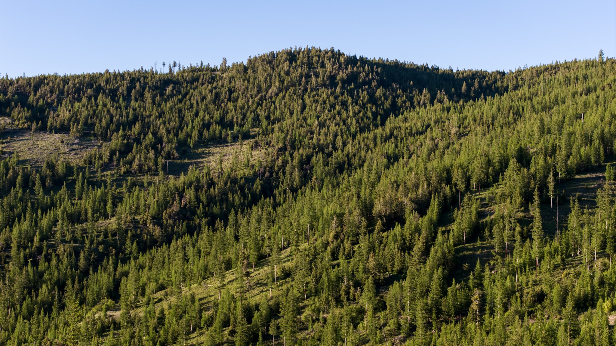 Coon Hollow Retreat Property Photo 42