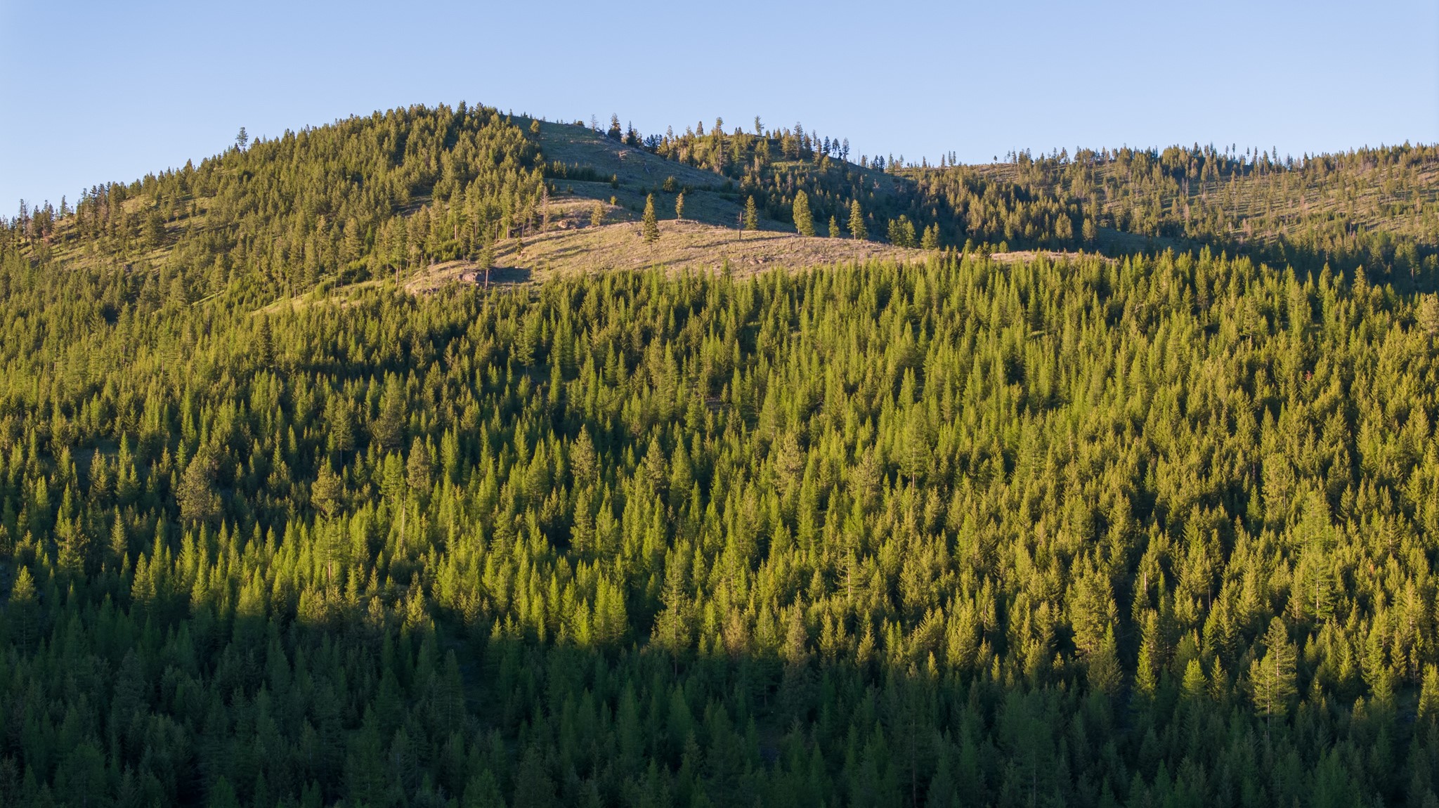 Coon Hollow Retreat Property Photo 46