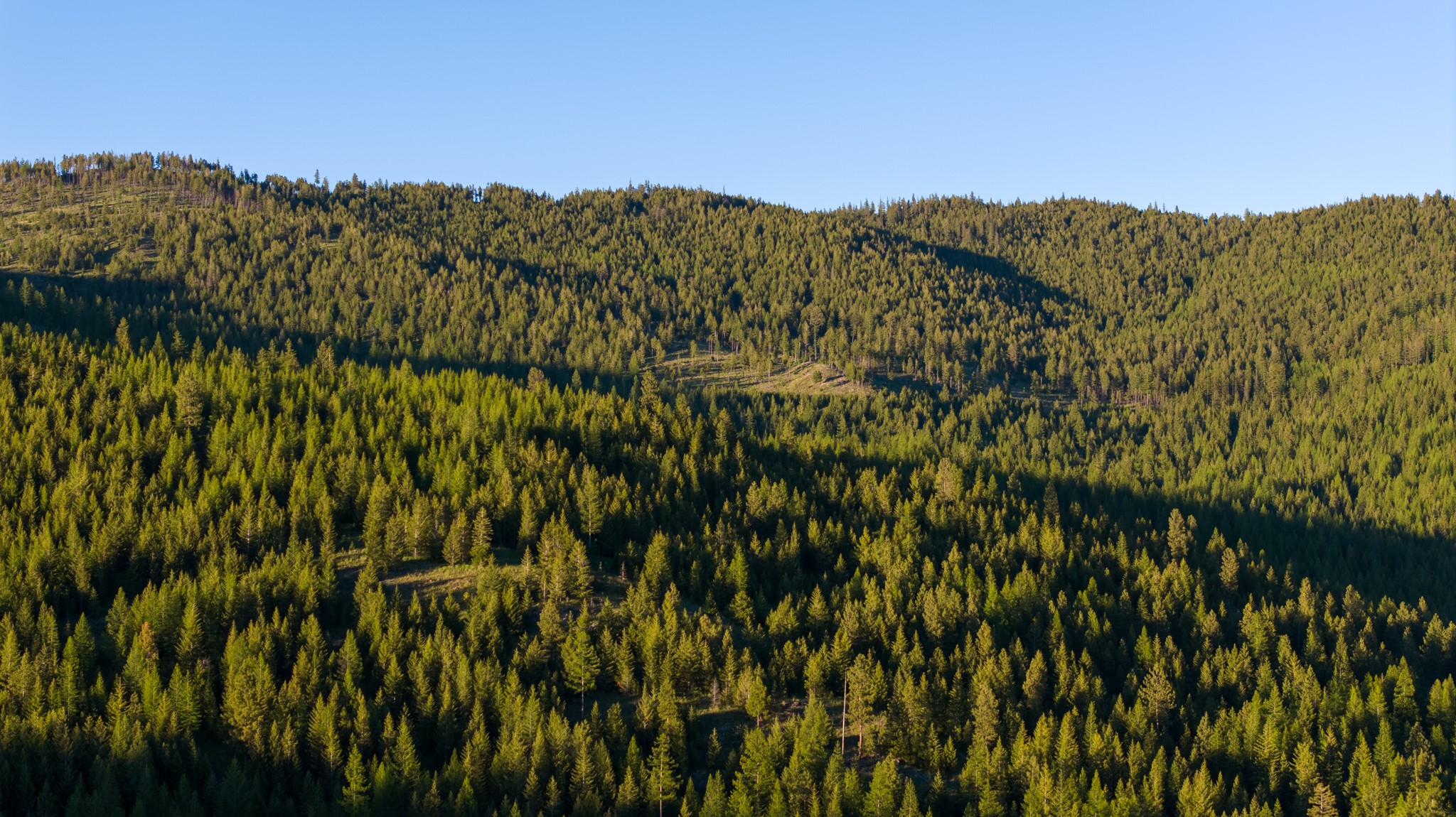 Coon Hollow Retreat Property Photo 47
