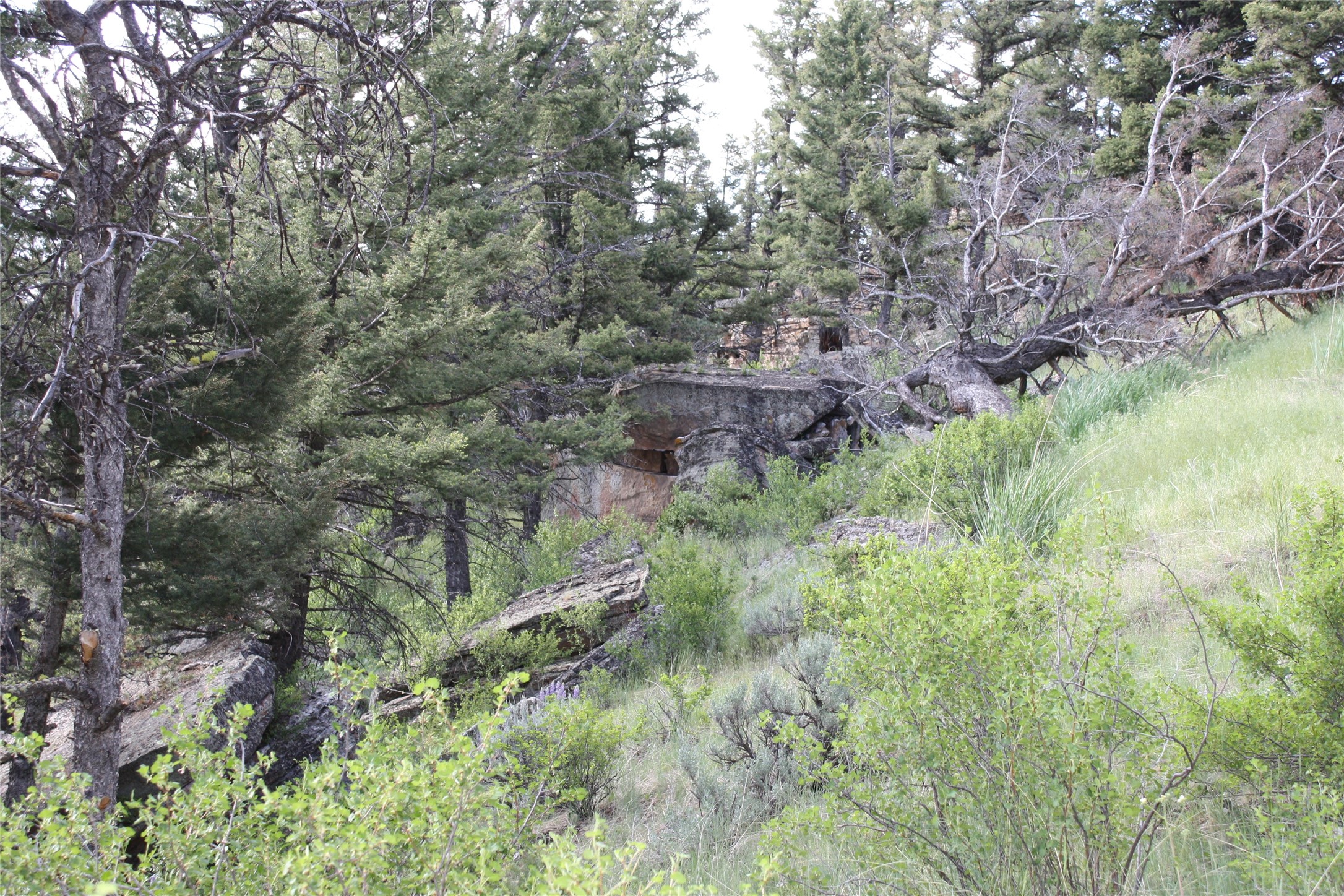 89 Mayn Creek Trail Property Photo 24