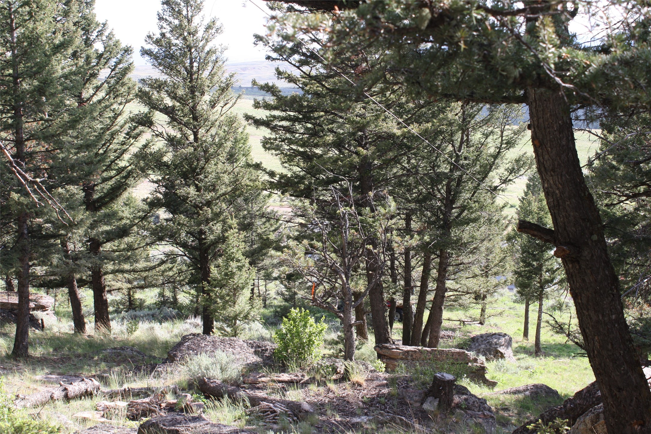 89 Mayn Creek Trail Property Photo 30