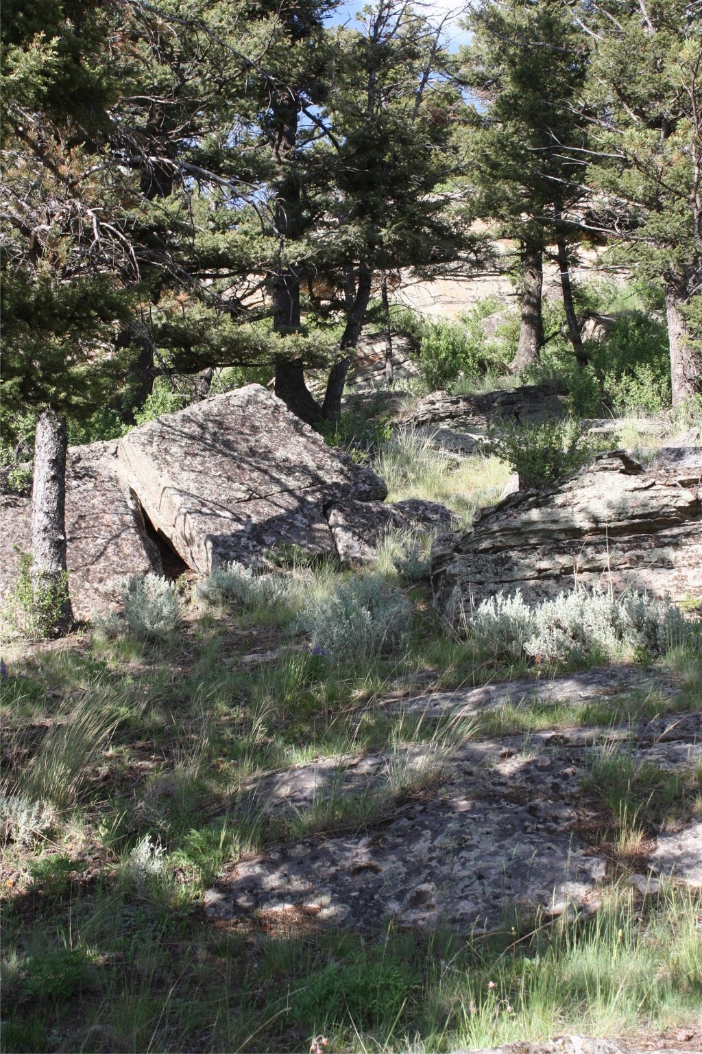 89 Mayn Creek Trail Property Photo 36