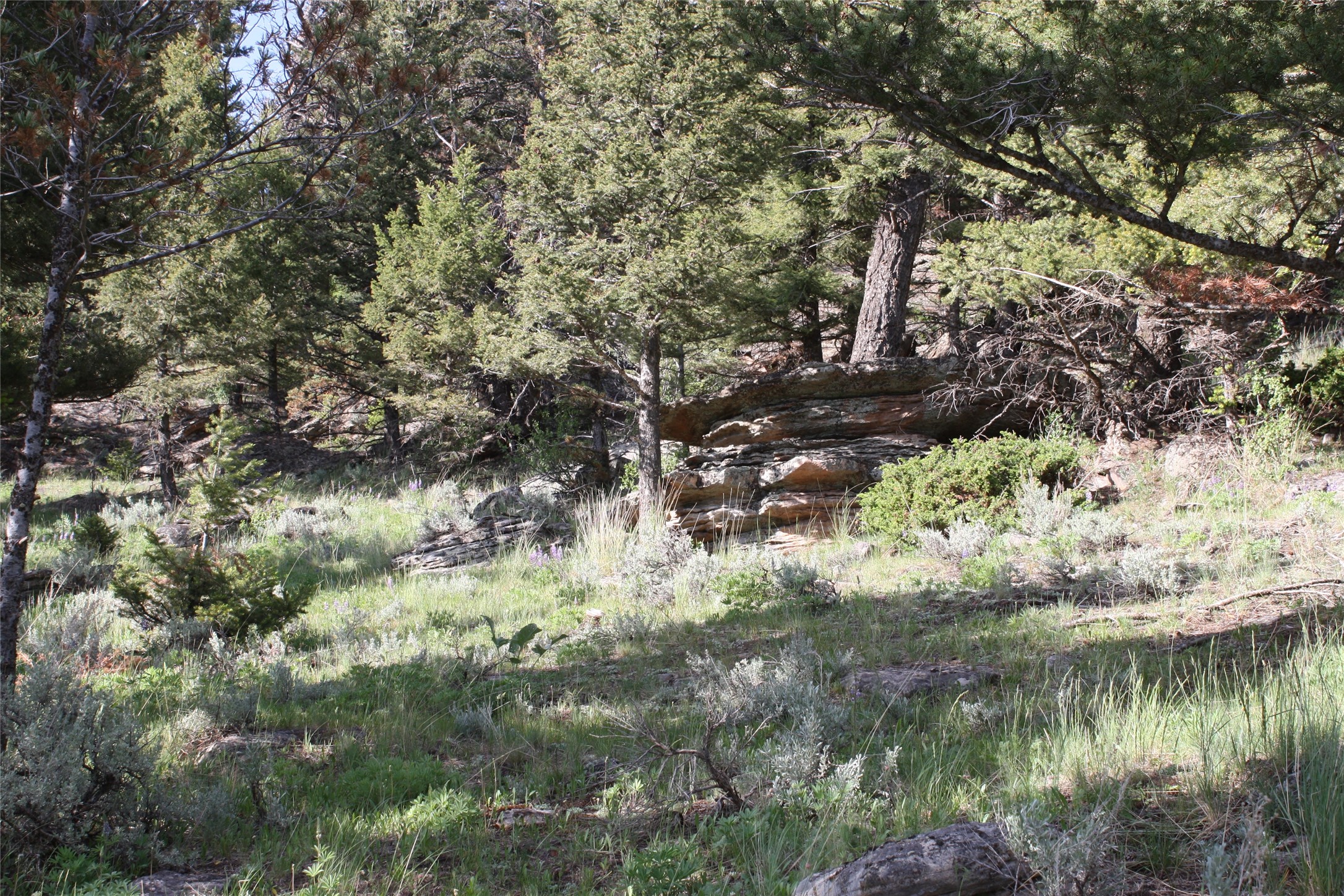 89 Mayn Creek Trail Property Photo 37
