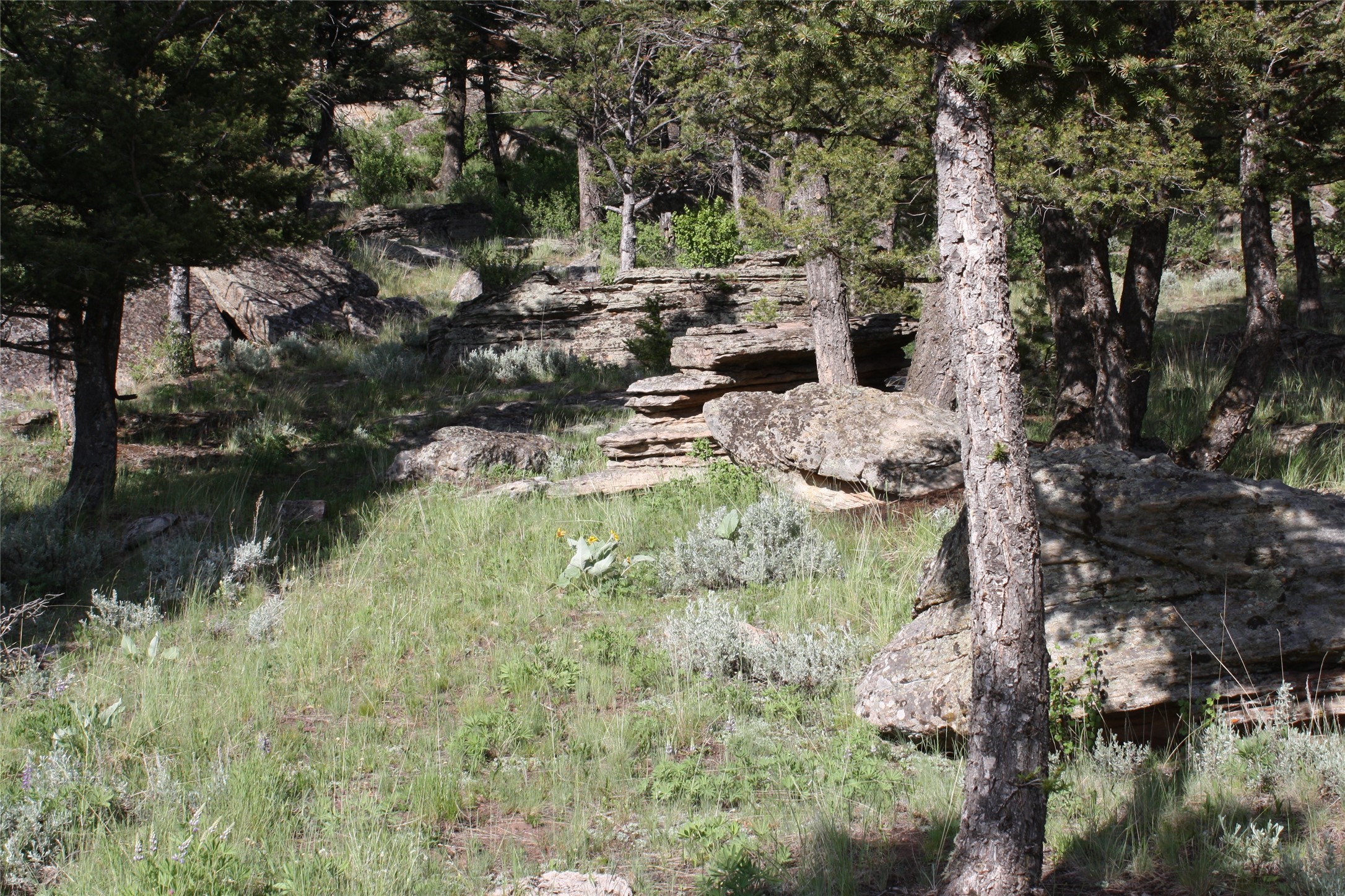 89 Mayn Creek Trail Property Photo 38