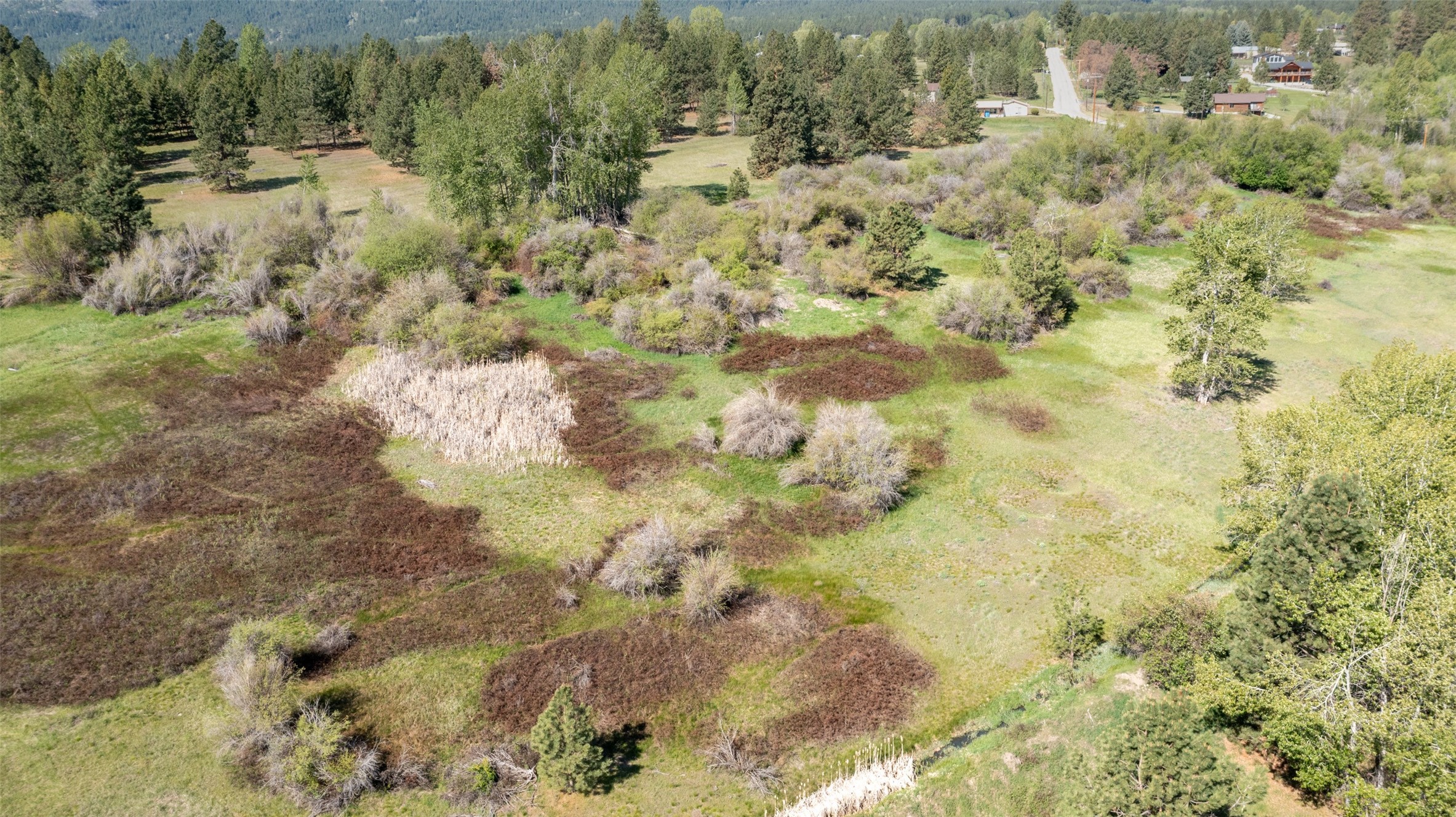 127 Blodgett Camp Road Property Photo 4